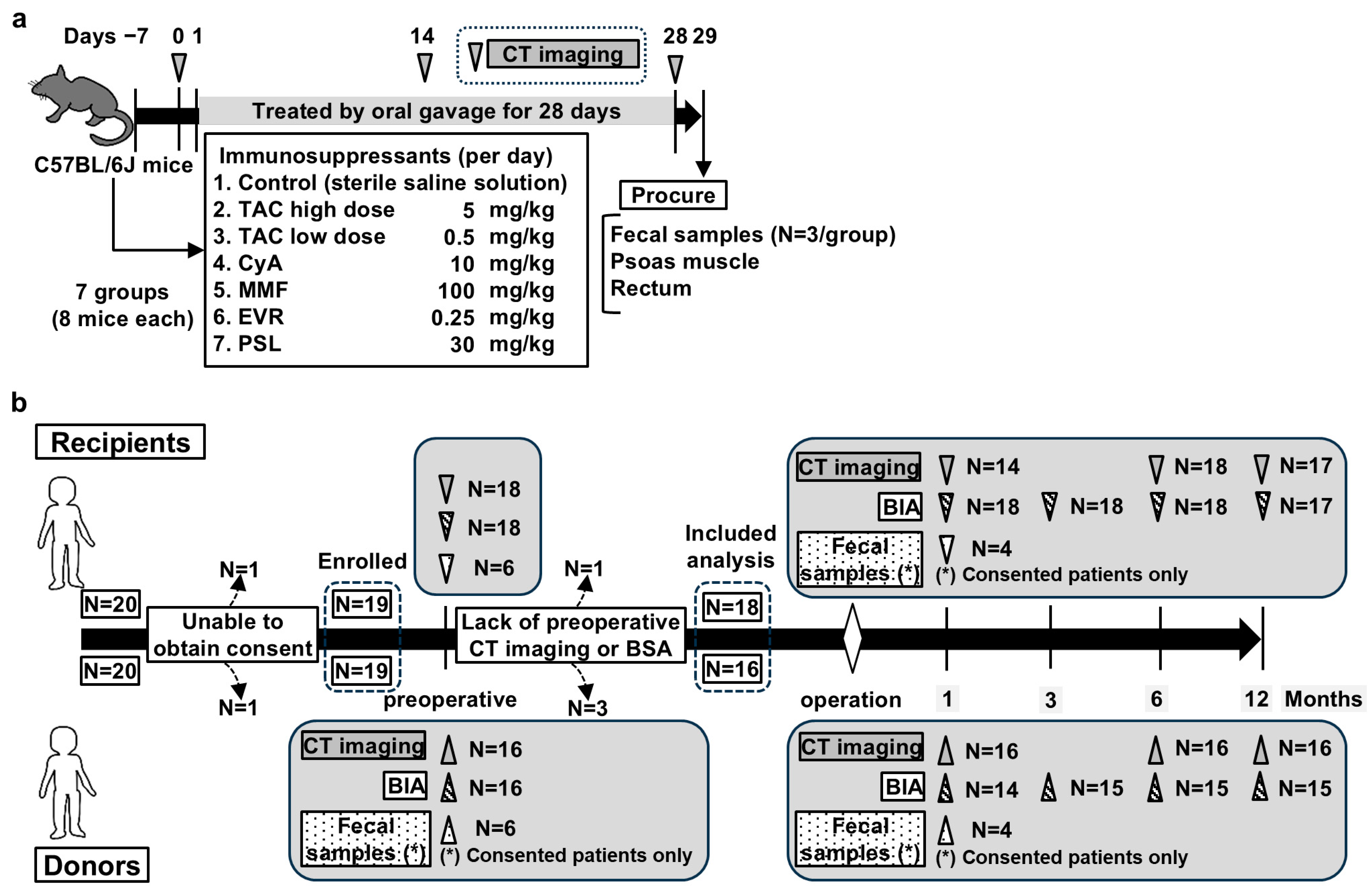 Jcm 14 01628 g001 Jcm 14 01628 g001