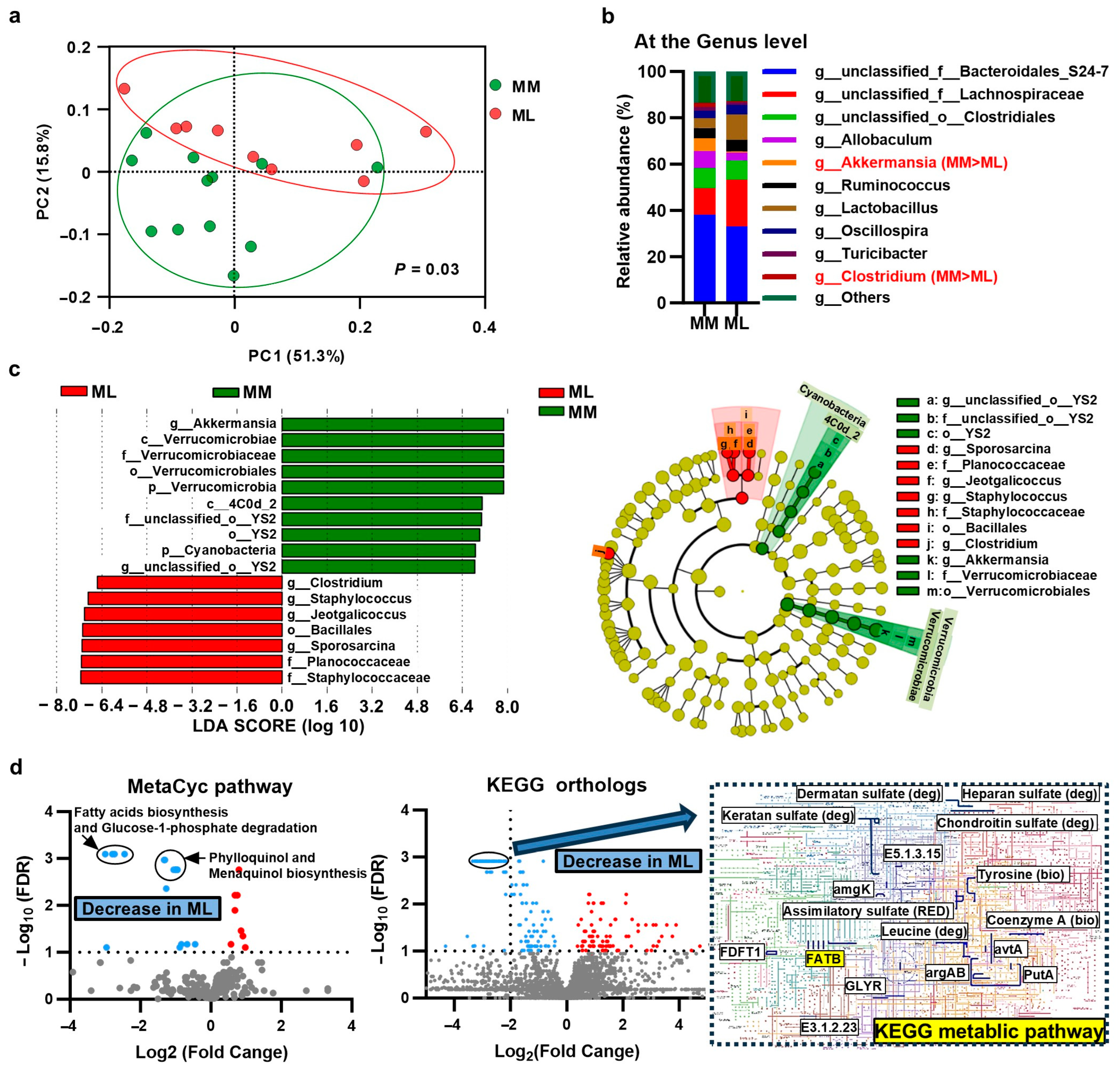 Jcm 14 01628 g003 Jcm 14 01628 g003