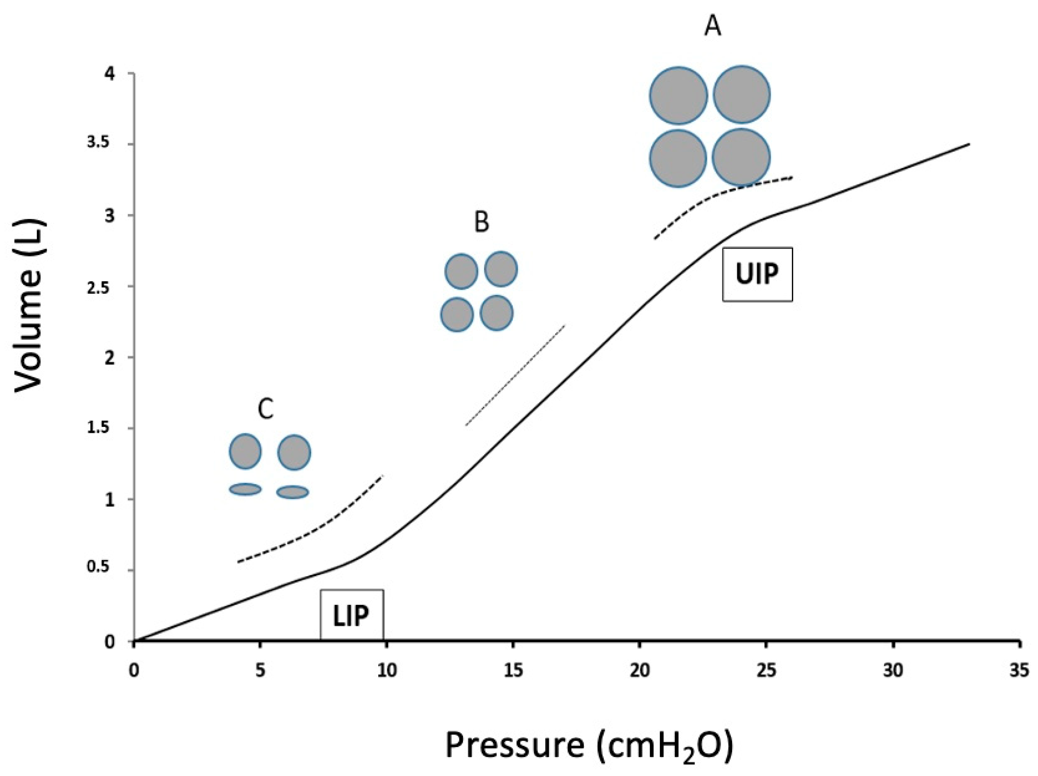 Jcm 14 01674 g001 Jcm 14 01674 g001