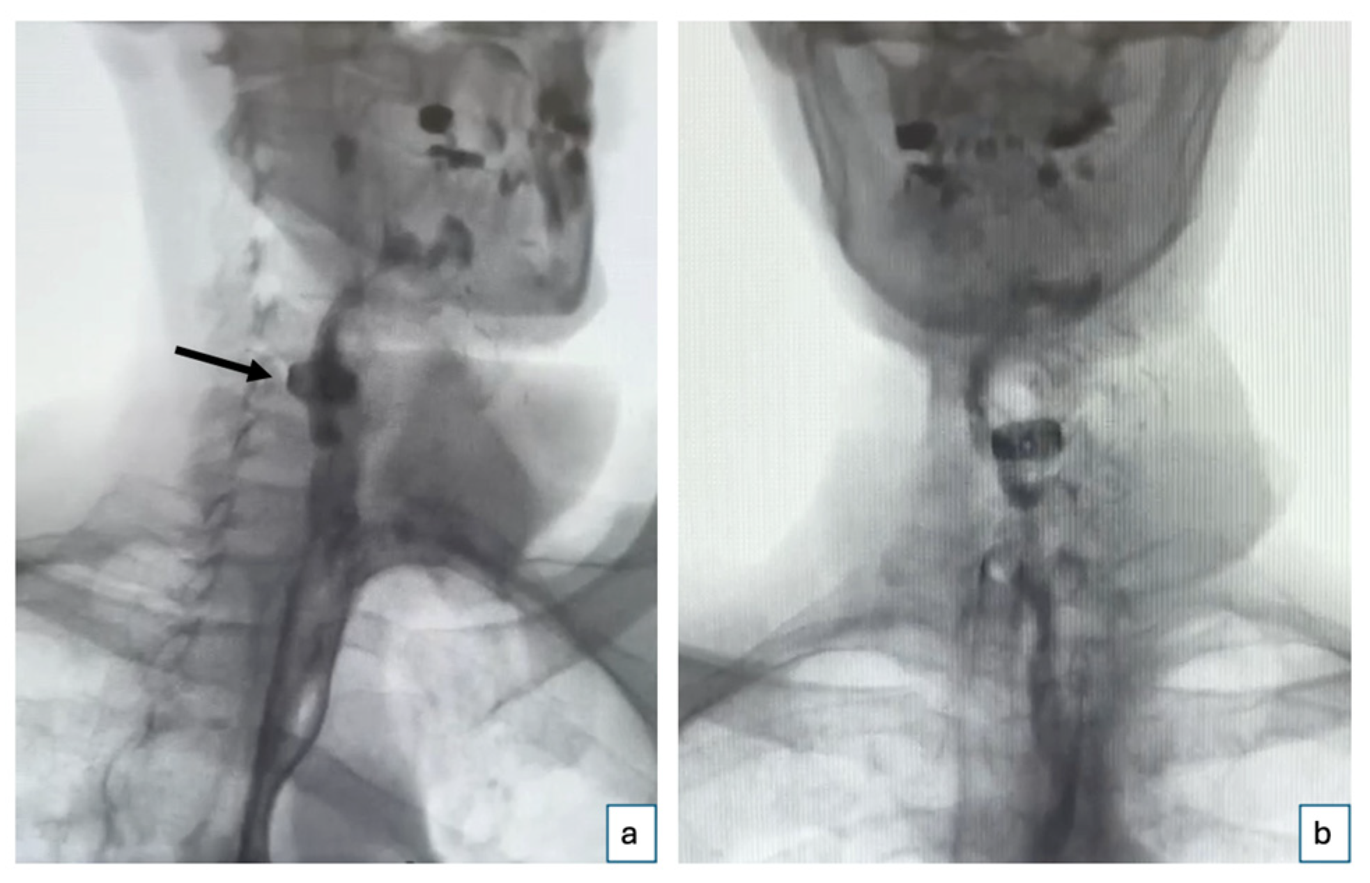 Jcm 14 01779 g003 Jcm 14 01779 g003