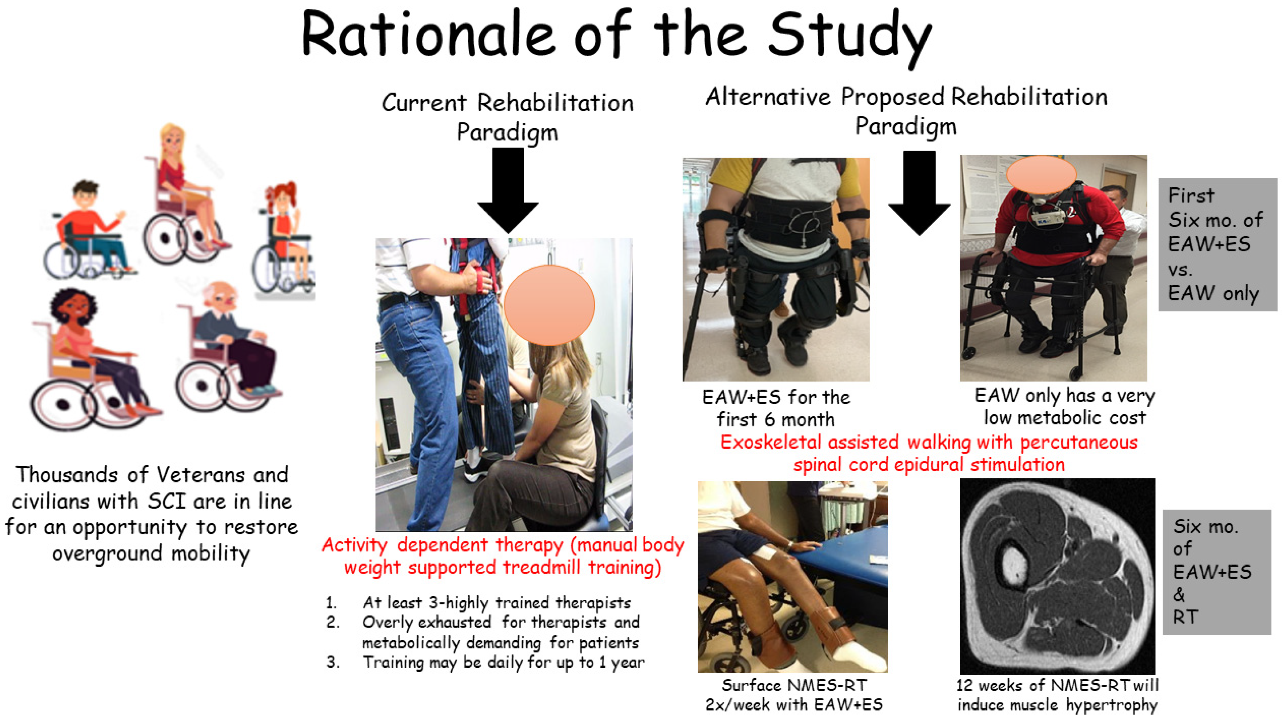 GF Positioning wheelchair belt (Auto-style) (Push button) GF Positioning wheelchair belt (Auto-style) (Push button)