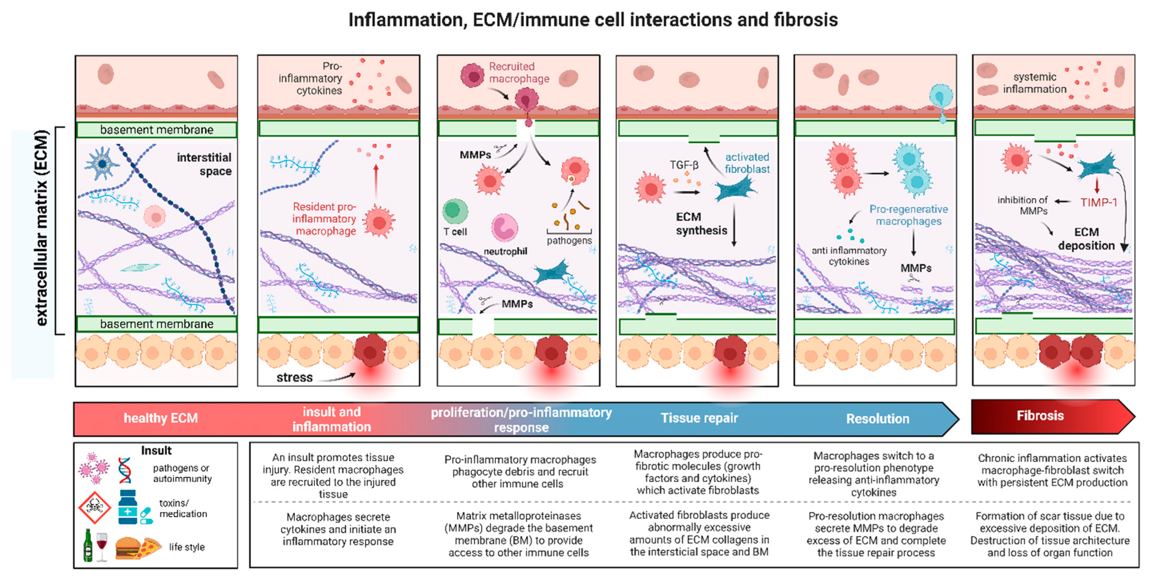 Jcm 14 01856 g001 Jcm 14 01856 g001
