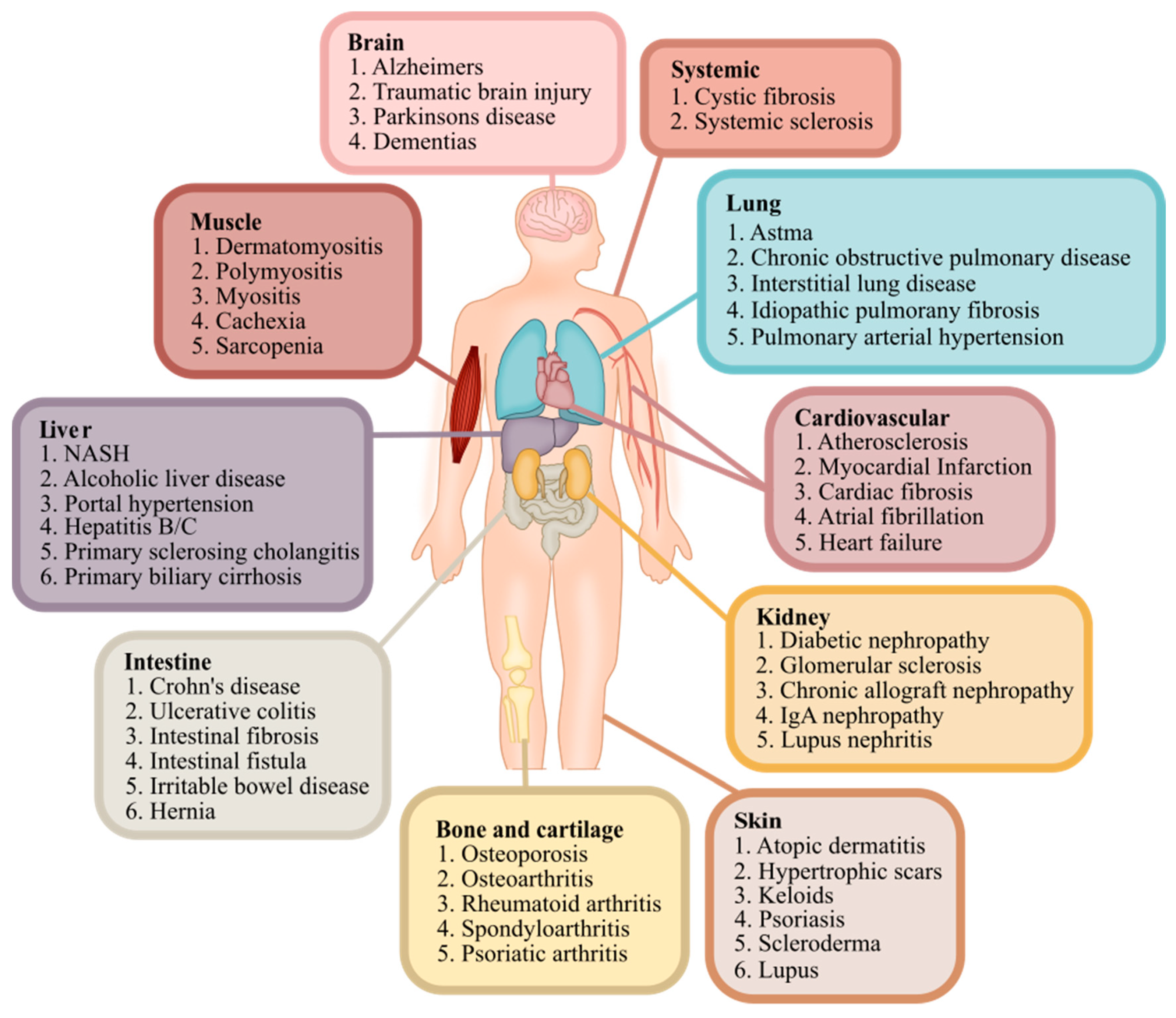 Jcm 14 01856 g002 Jcm 14 01856 g002