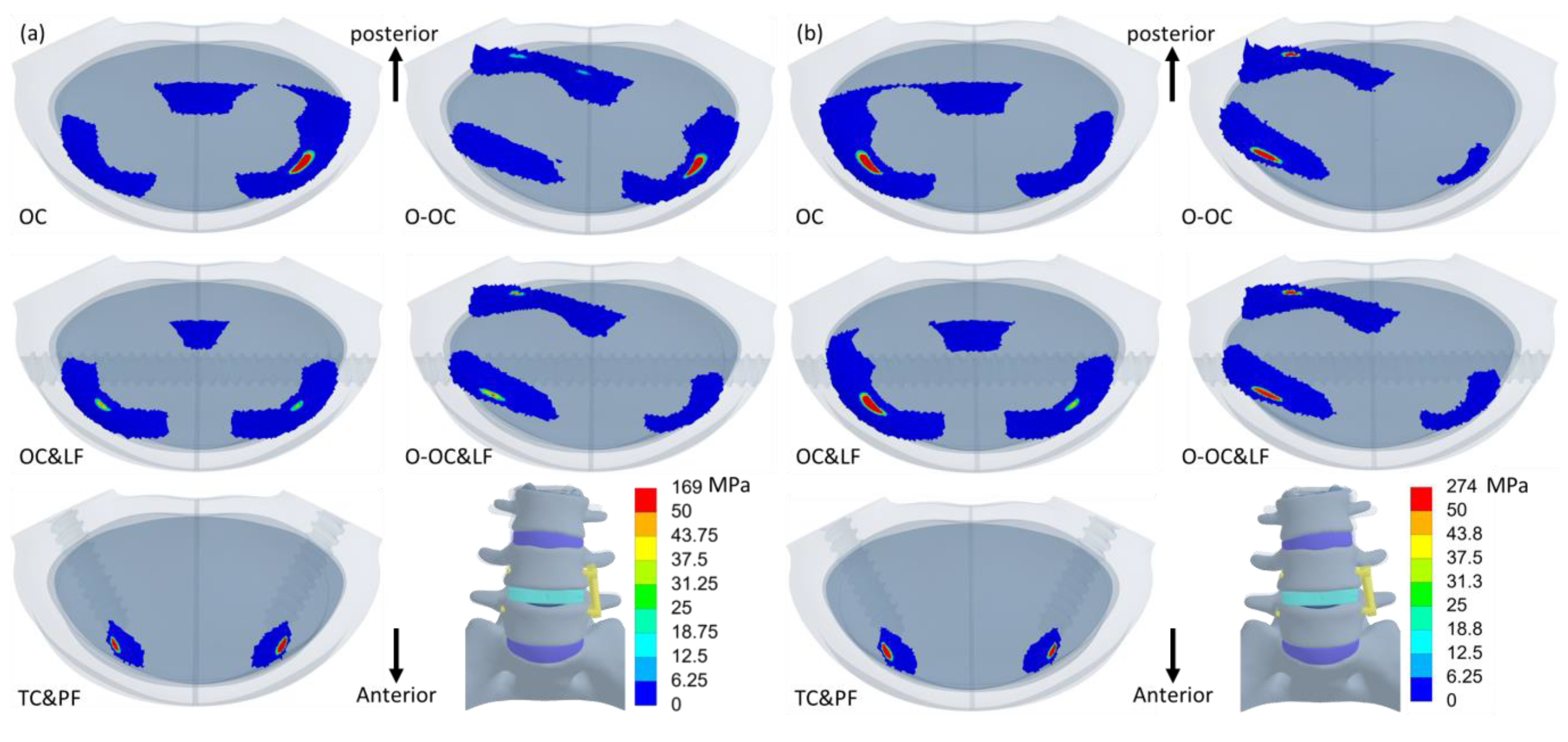 Jcm 14 01890 g010 Jcm 14 01890 g010