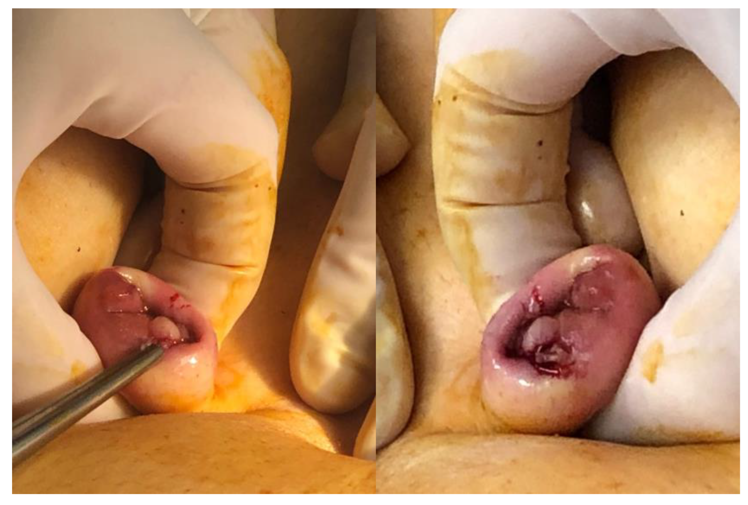 Jcm 14 01904 g001 Jcm 14 01904 g001