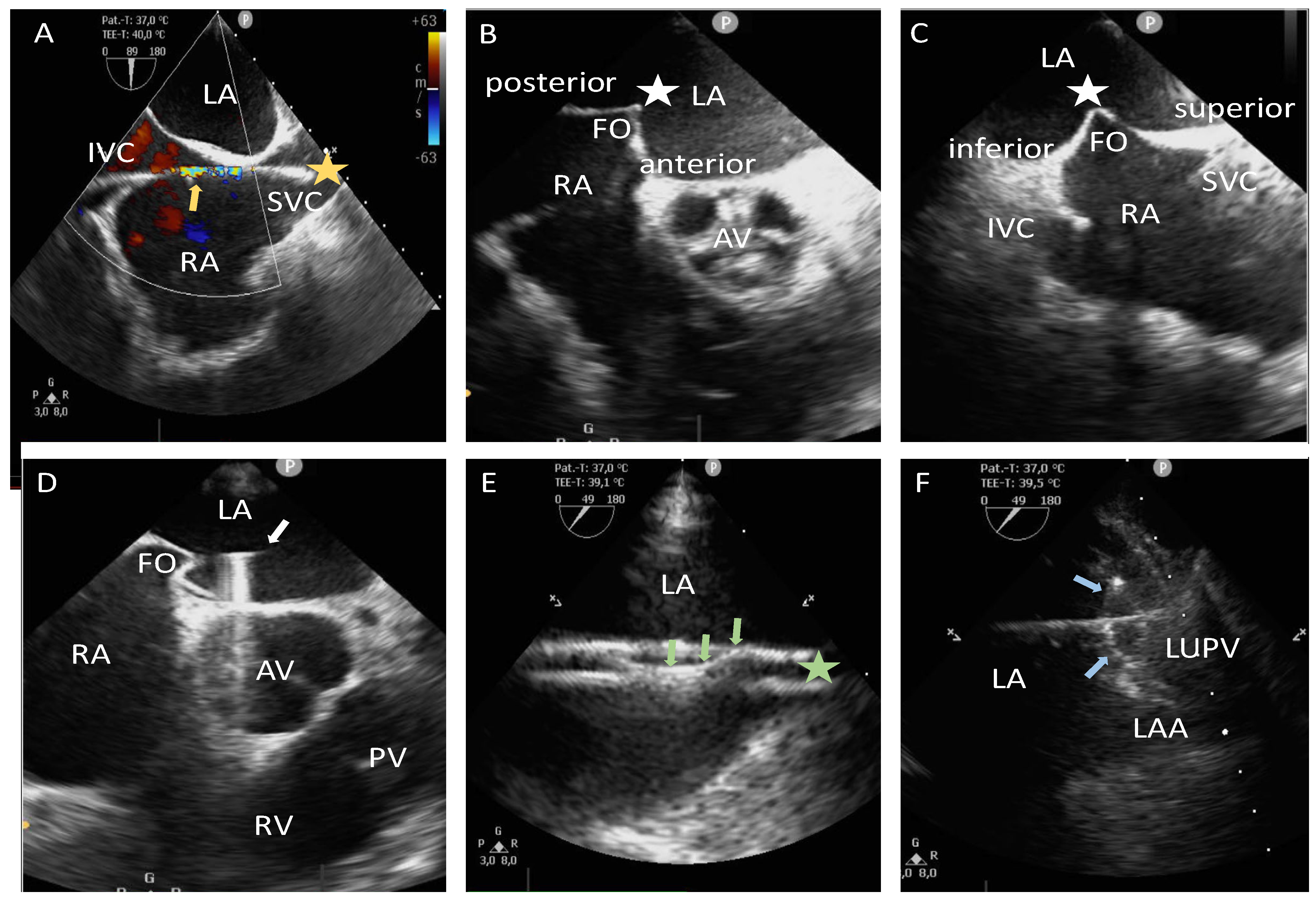 Jcm 14 01917 g001 Jcm 14 01917 g001
