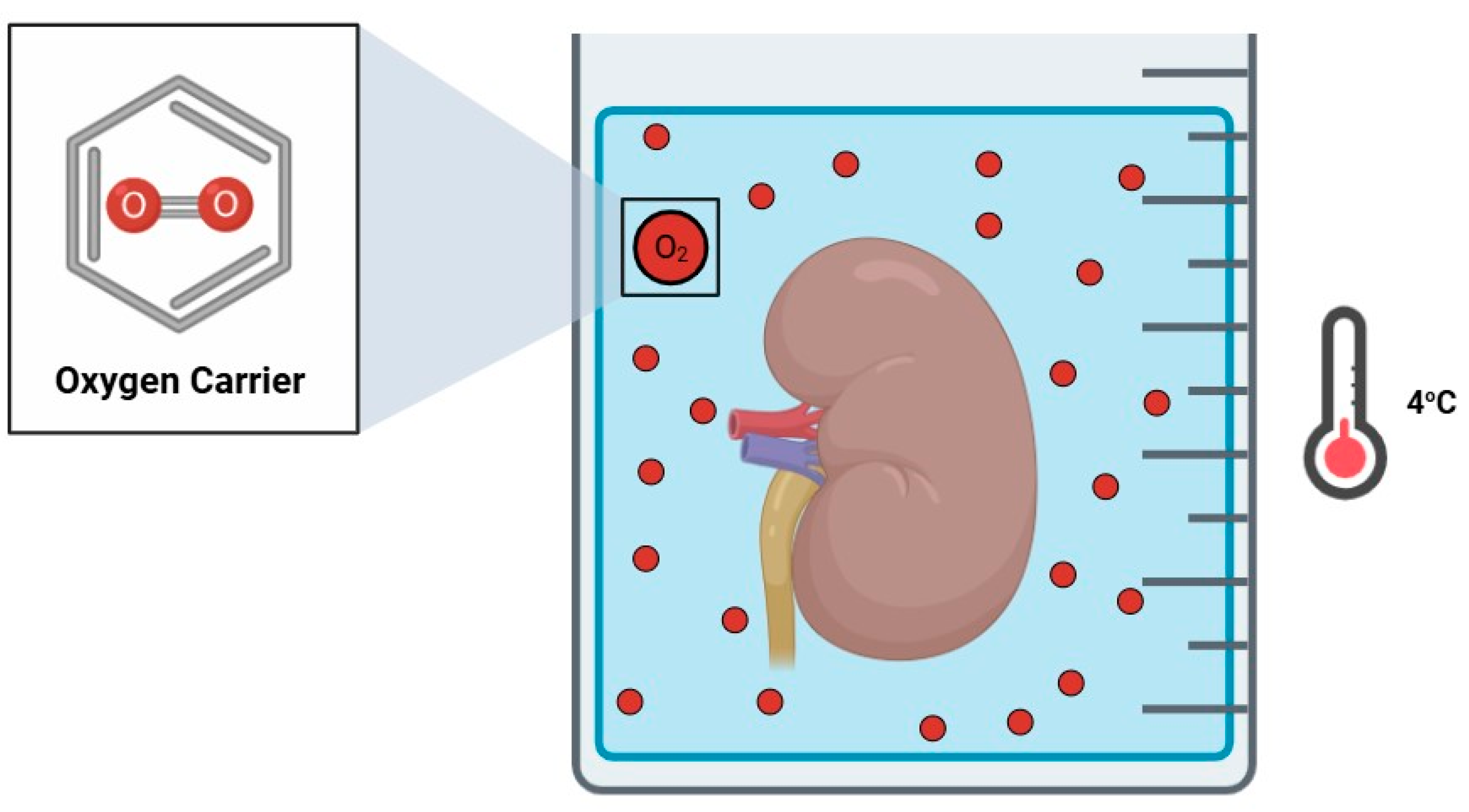 Jcm 14 01927 g001 Jcm 14 01927 g001