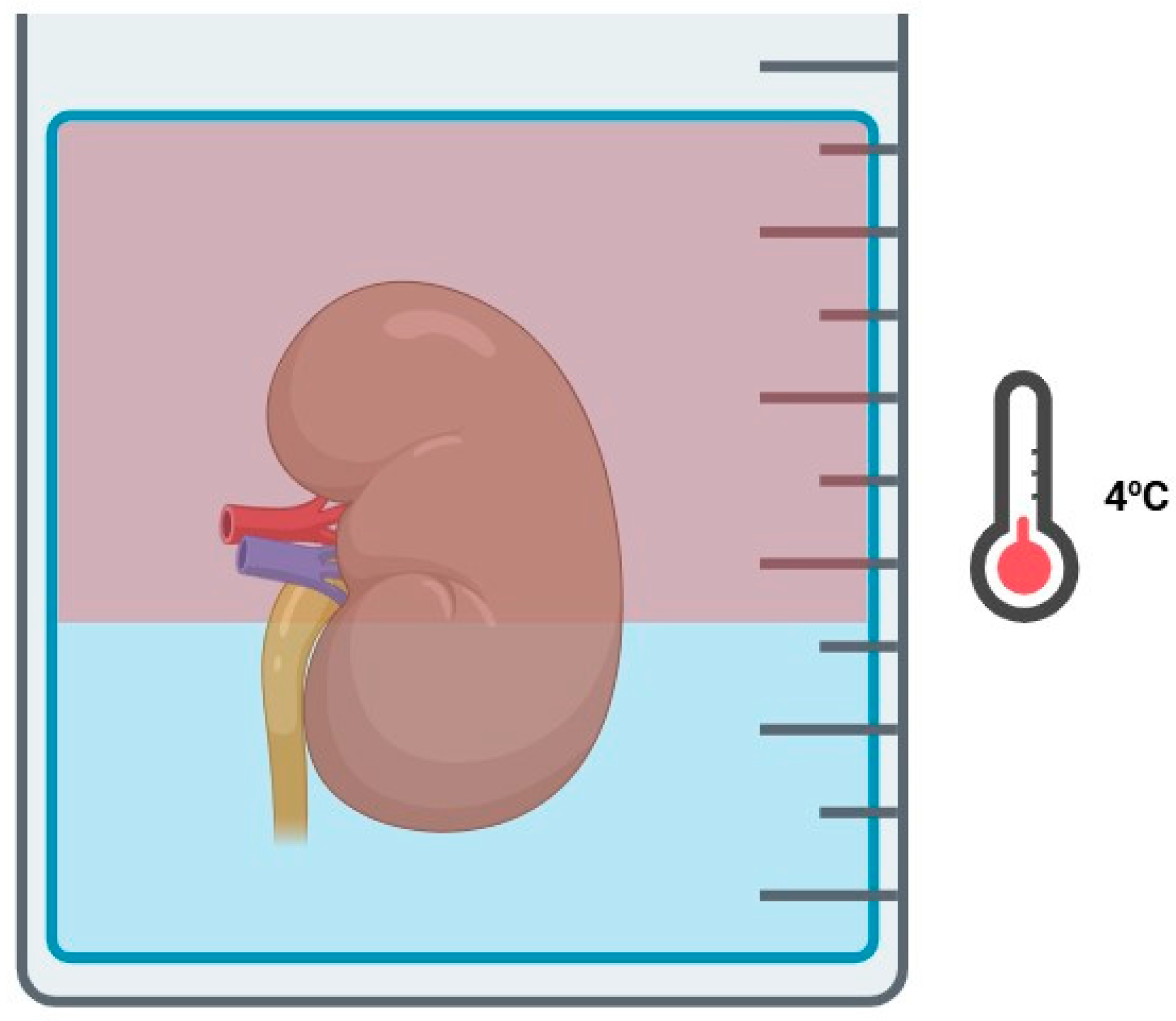 Jcm 14 01927 g003 Jcm 14 01927 g003
