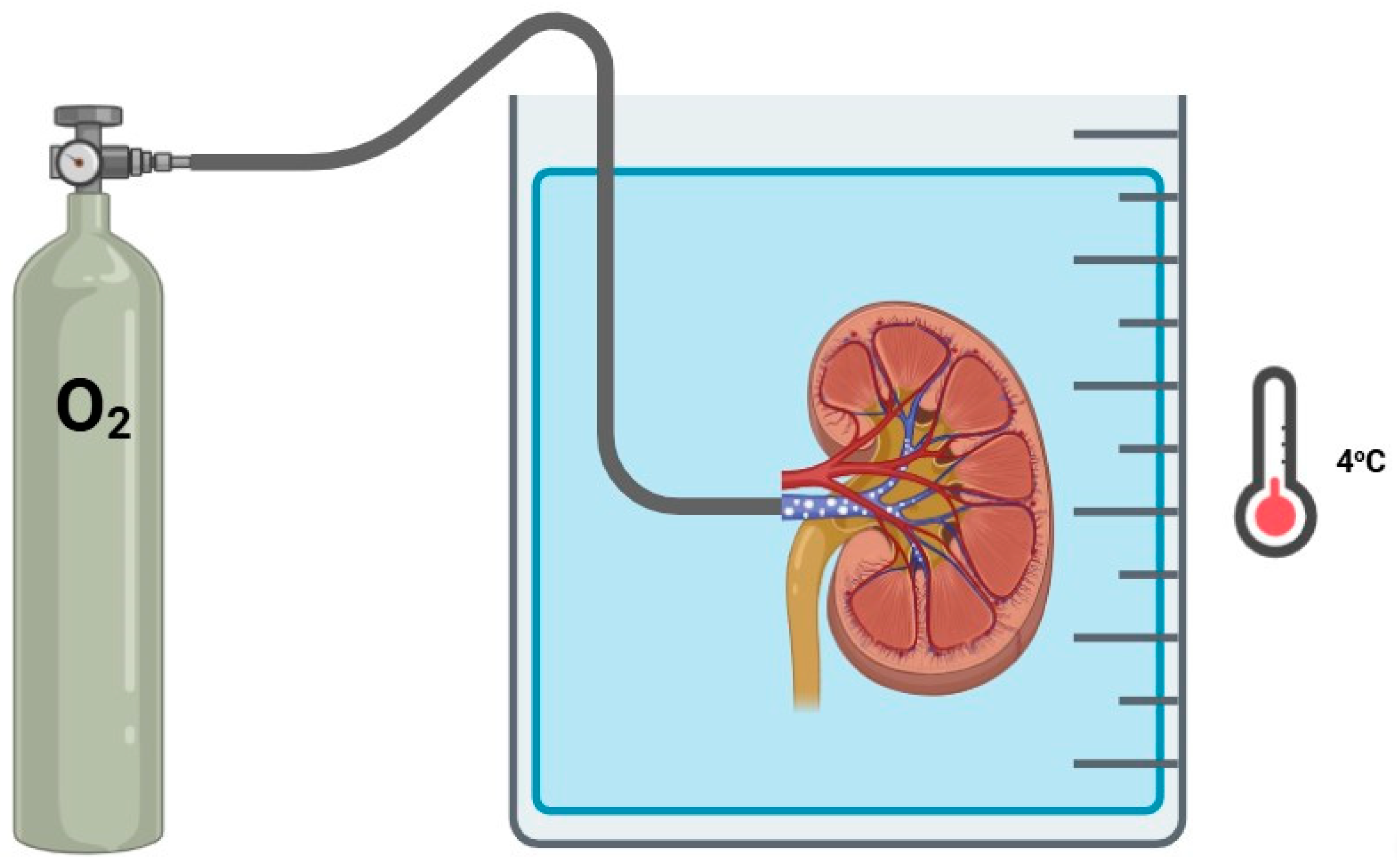 Jcm 14 01927 g004 Jcm 14 01927 g004