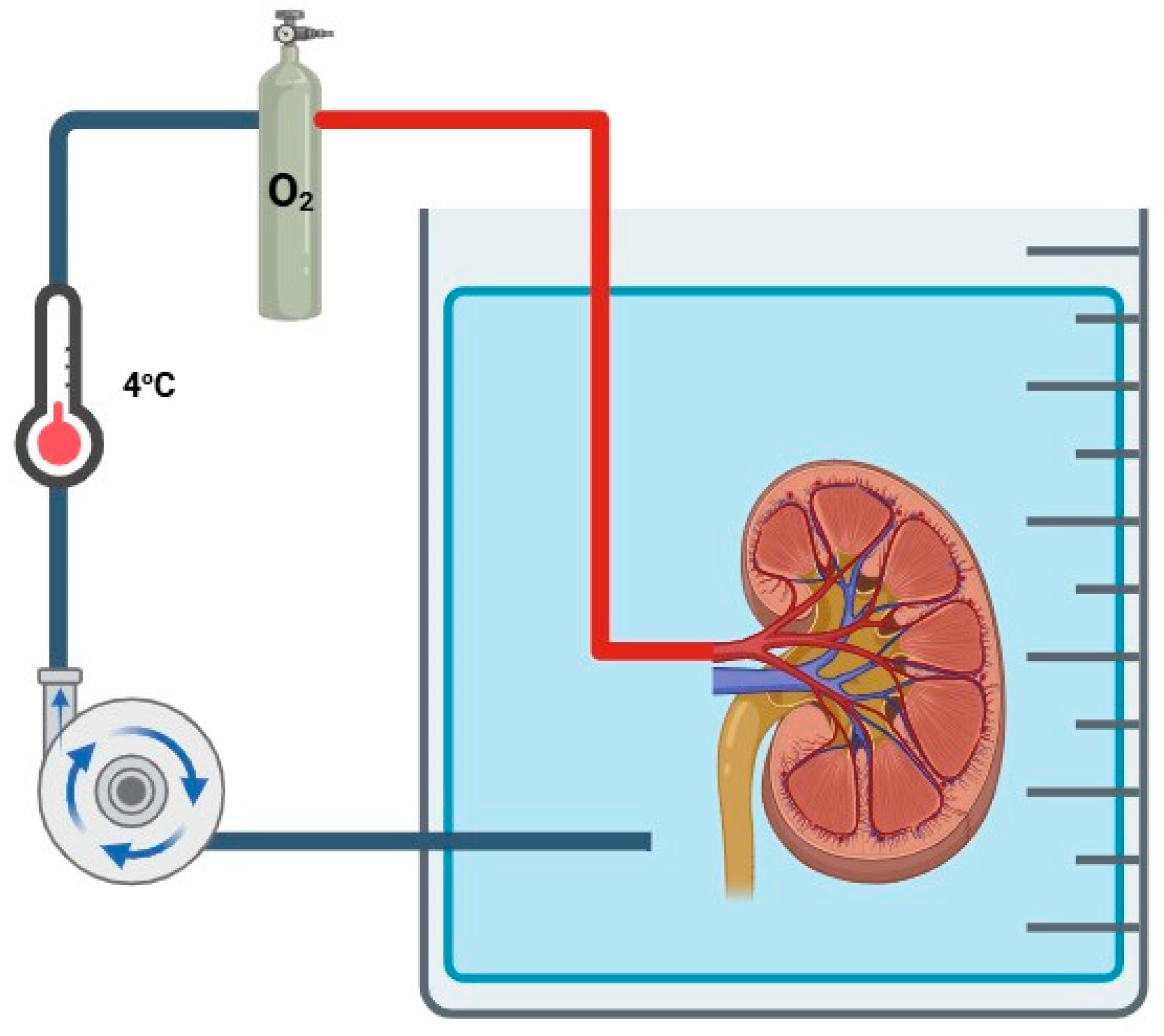 Jcm 14 01927 g005 Jcm 14 01927 g005