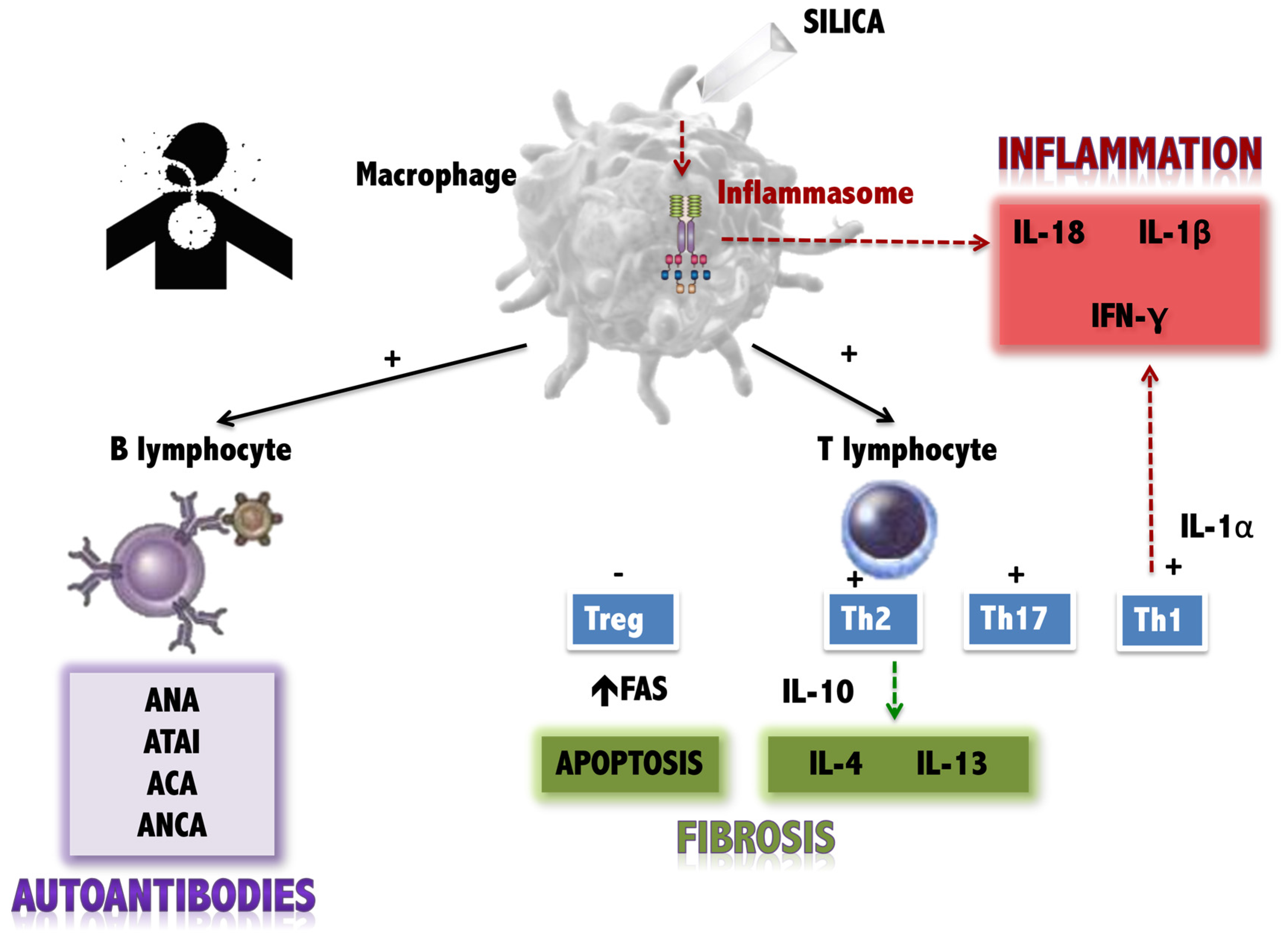 Jcm 14 02019 g001 Jcm 14 02019 g001