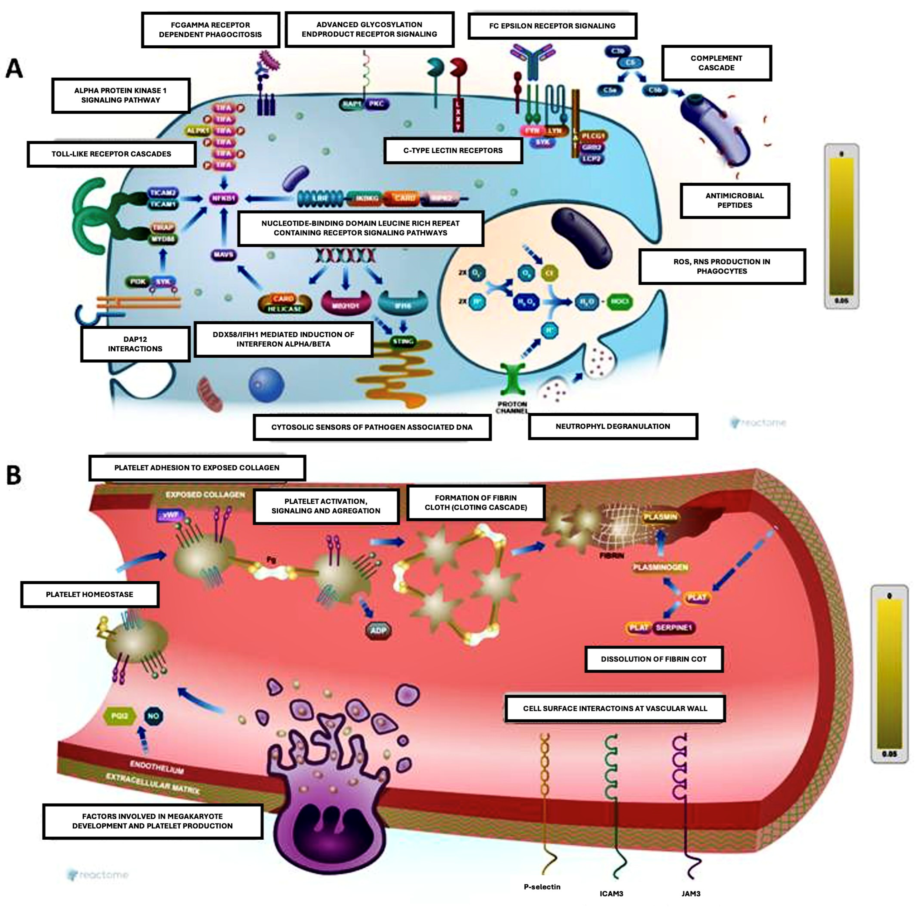 Jcm 14 02019 g004 Jcm 14 02019 g004