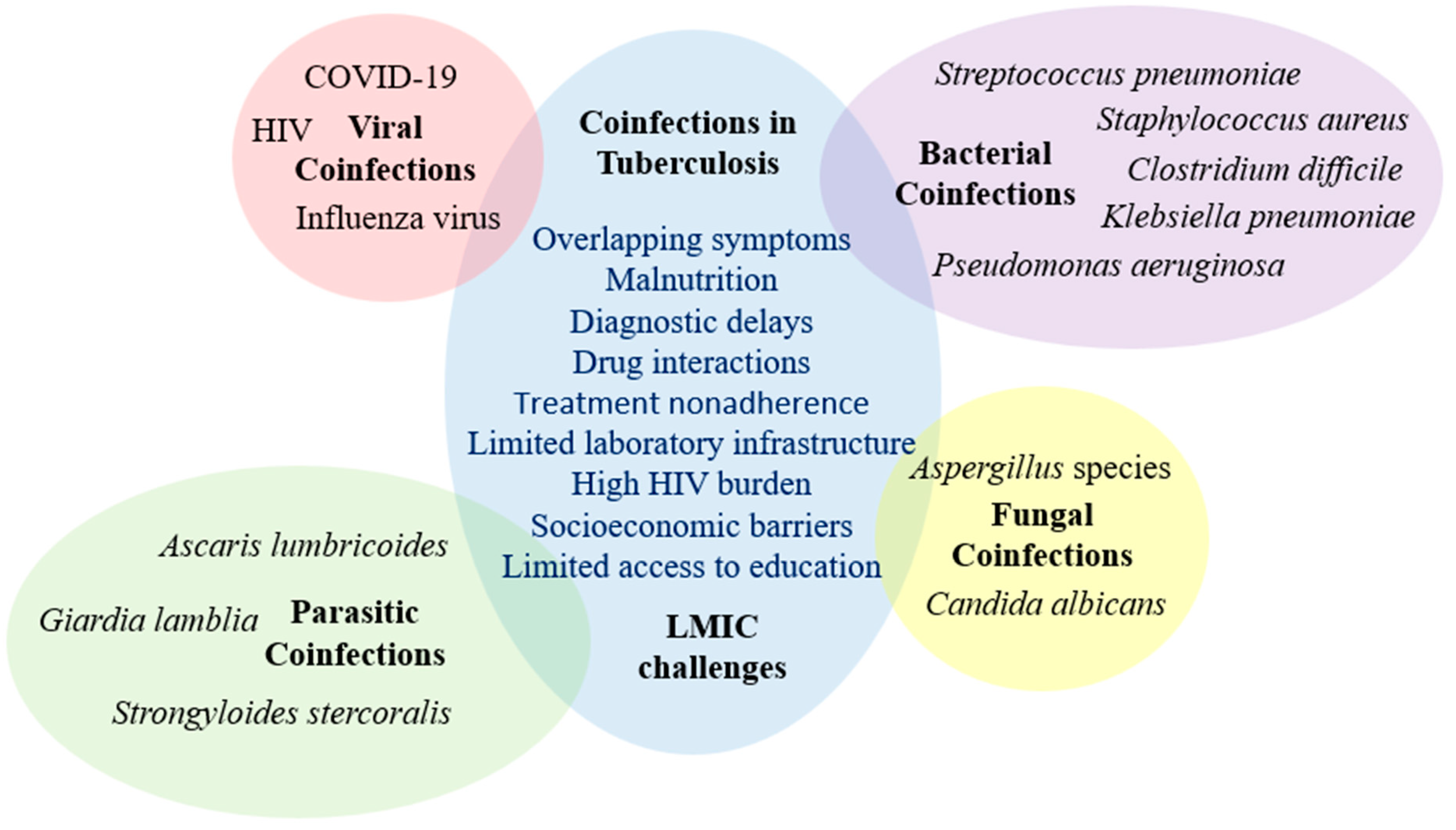 Jcm 14 02154 g002 Jcm 14 02154 g002