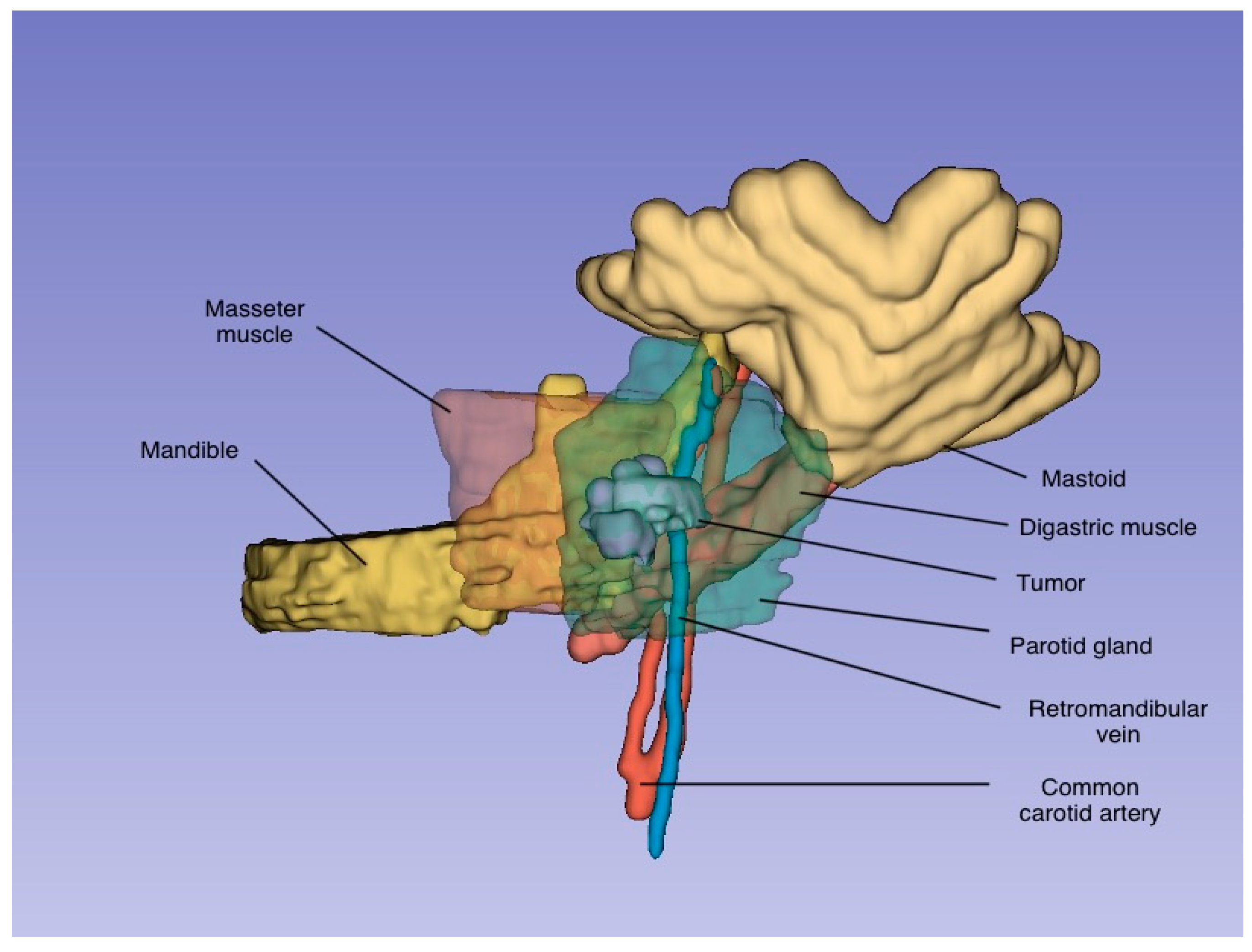 Jcm 14 02290 g002 Jcm 14 02290 g002