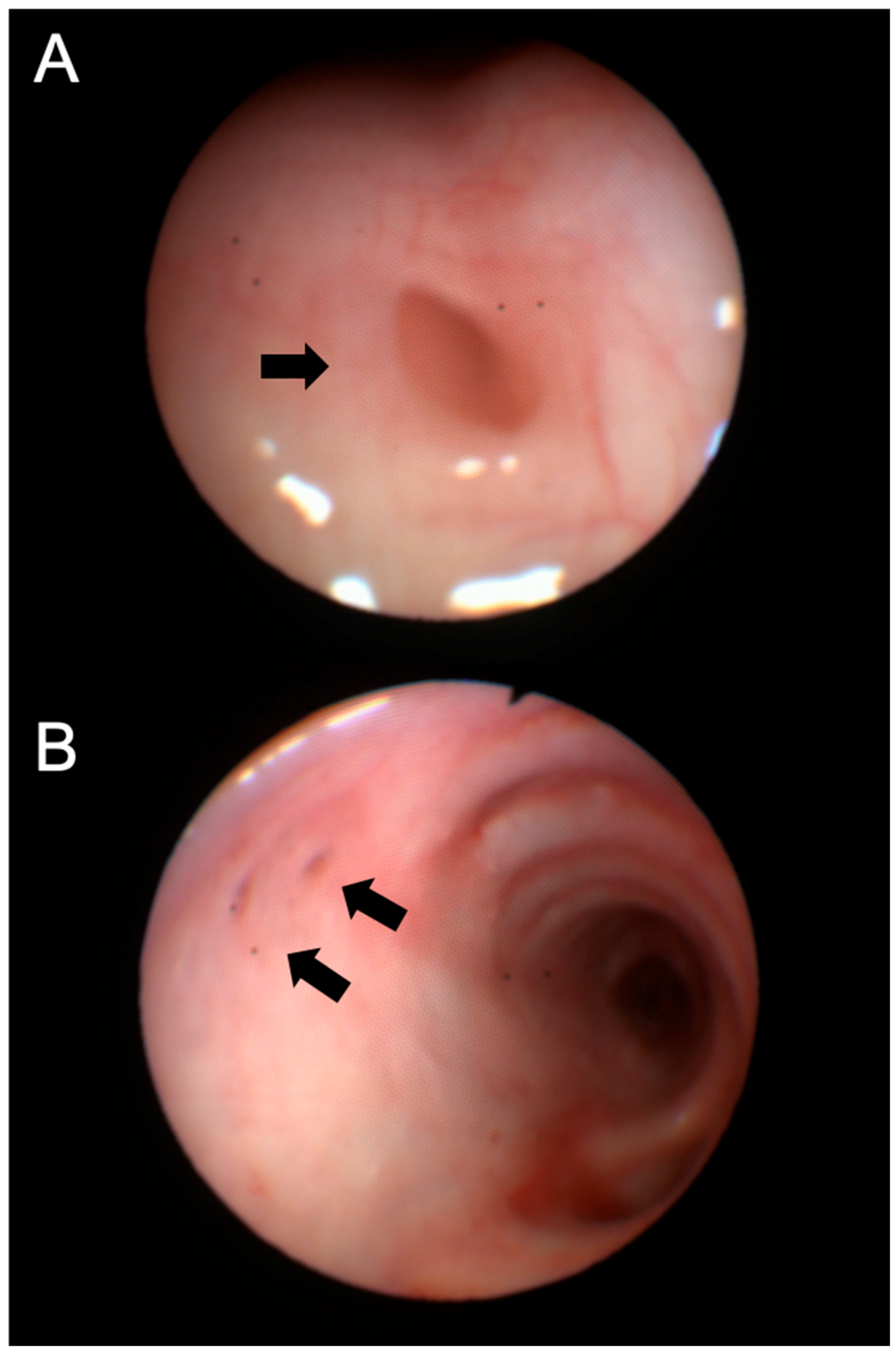 Jcm 14 02320 g002 Jcm 14 02320 g002