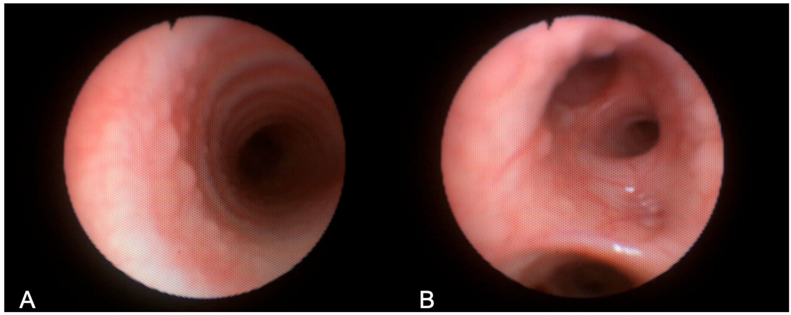 Jcm 14 02320 g005 Jcm 14 02320 g005