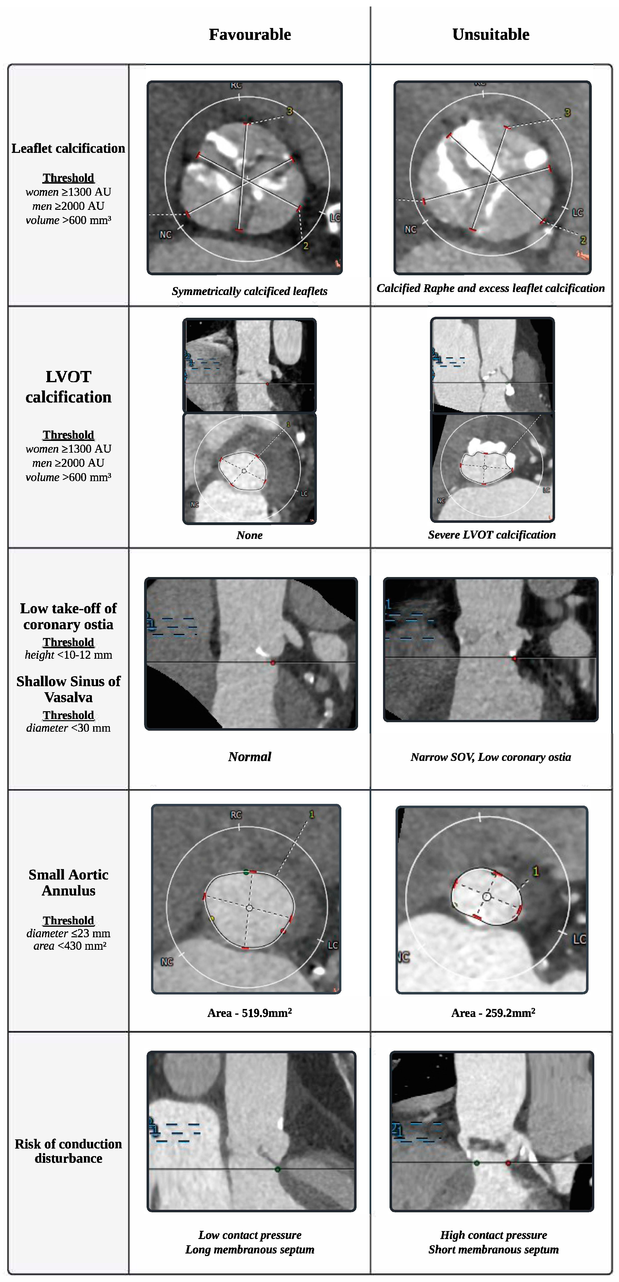 Jcm 14 02357 g001 Jcm 14 02357 g001