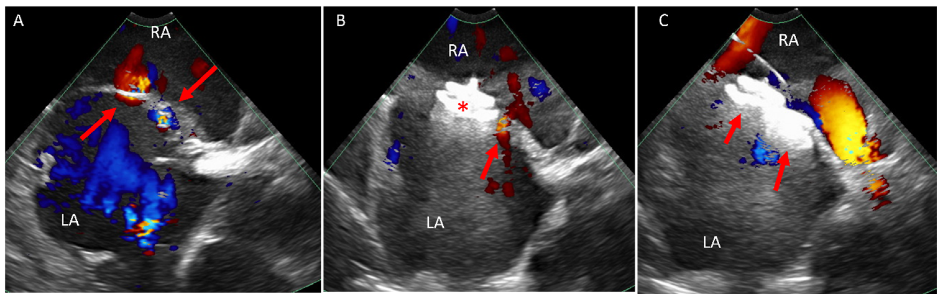 Jcm 14 02414 g003 Jcm 14 02414 g003