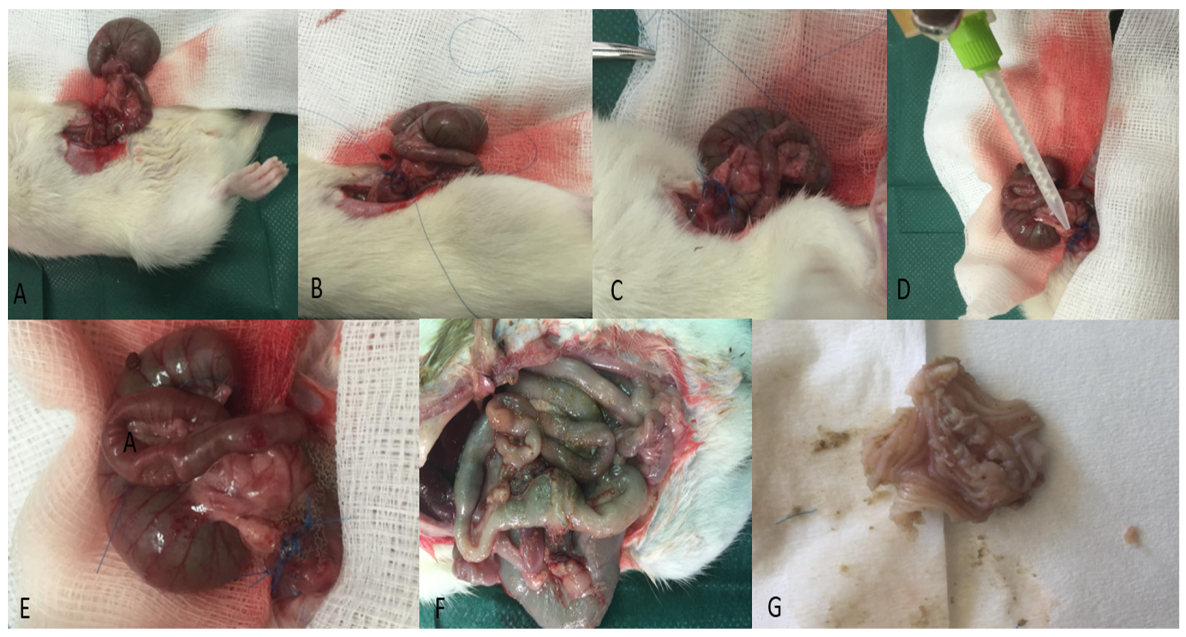 Jcm 14 02457 g001 Jcm 14 02457 g001