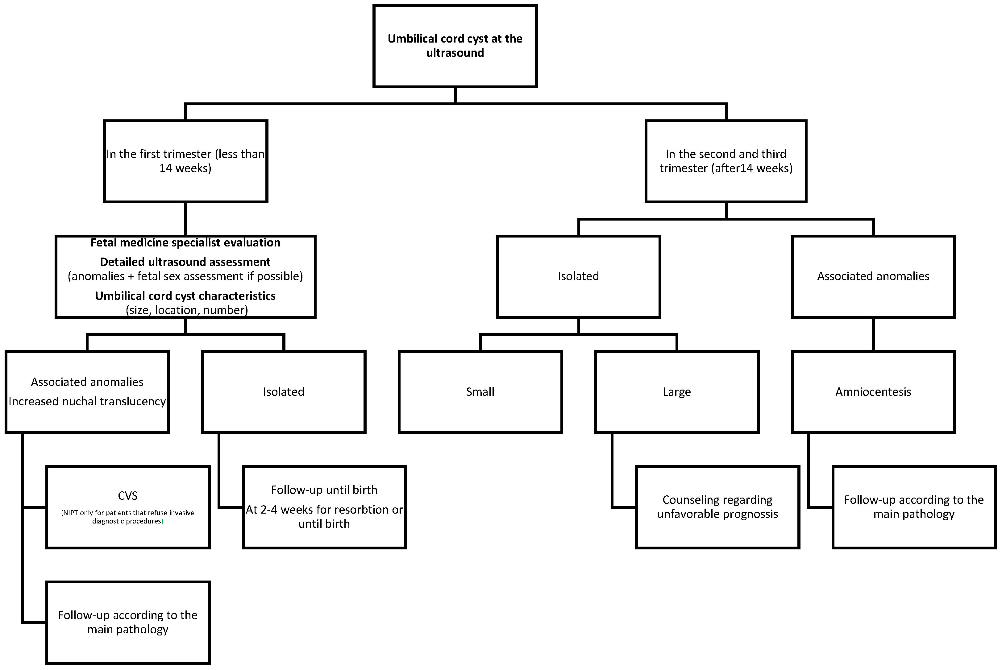 Jcm 14 02564 g006 Jcm 14 02564 g006