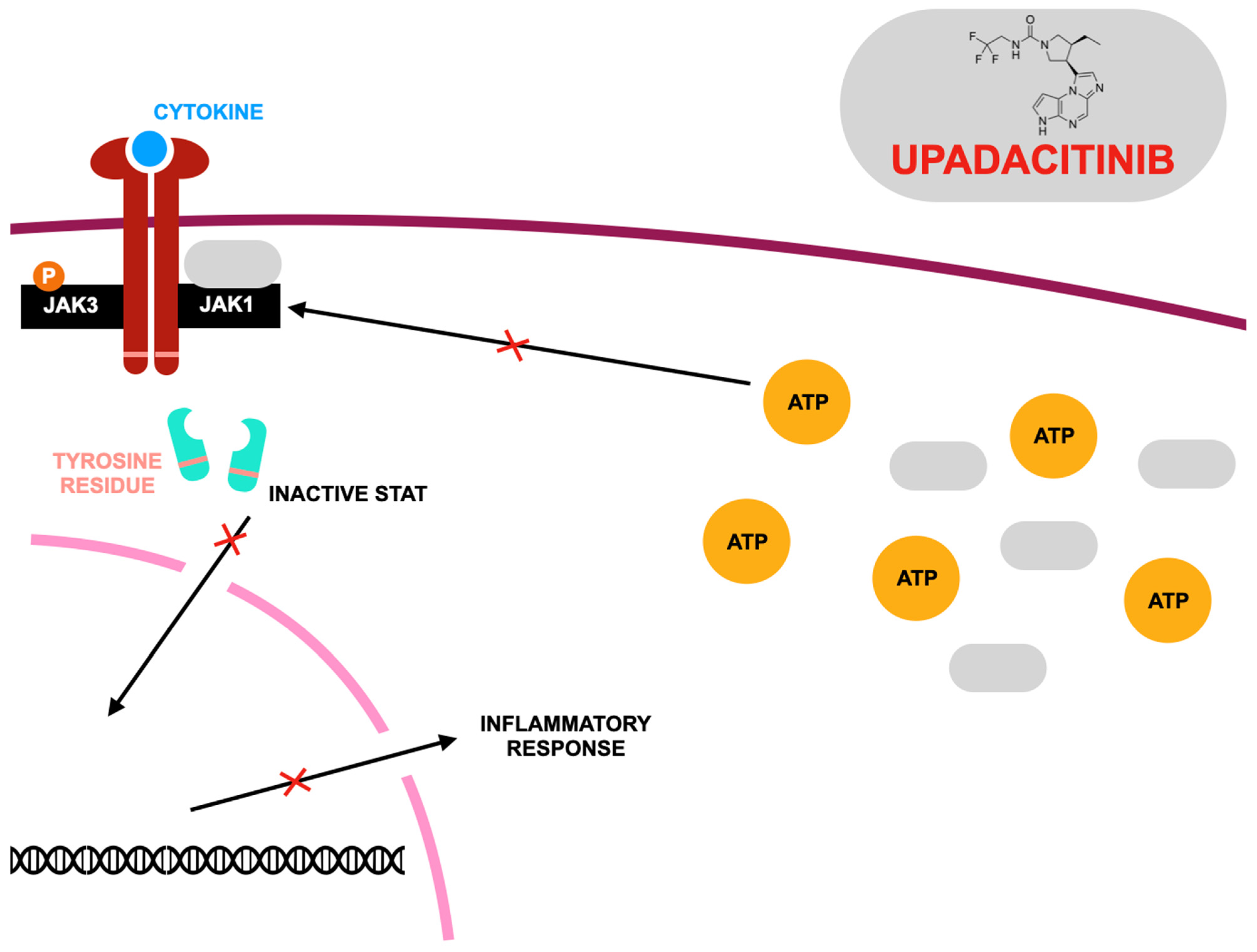 Jcm 14 02605 g003 Jcm 14 02605 g003