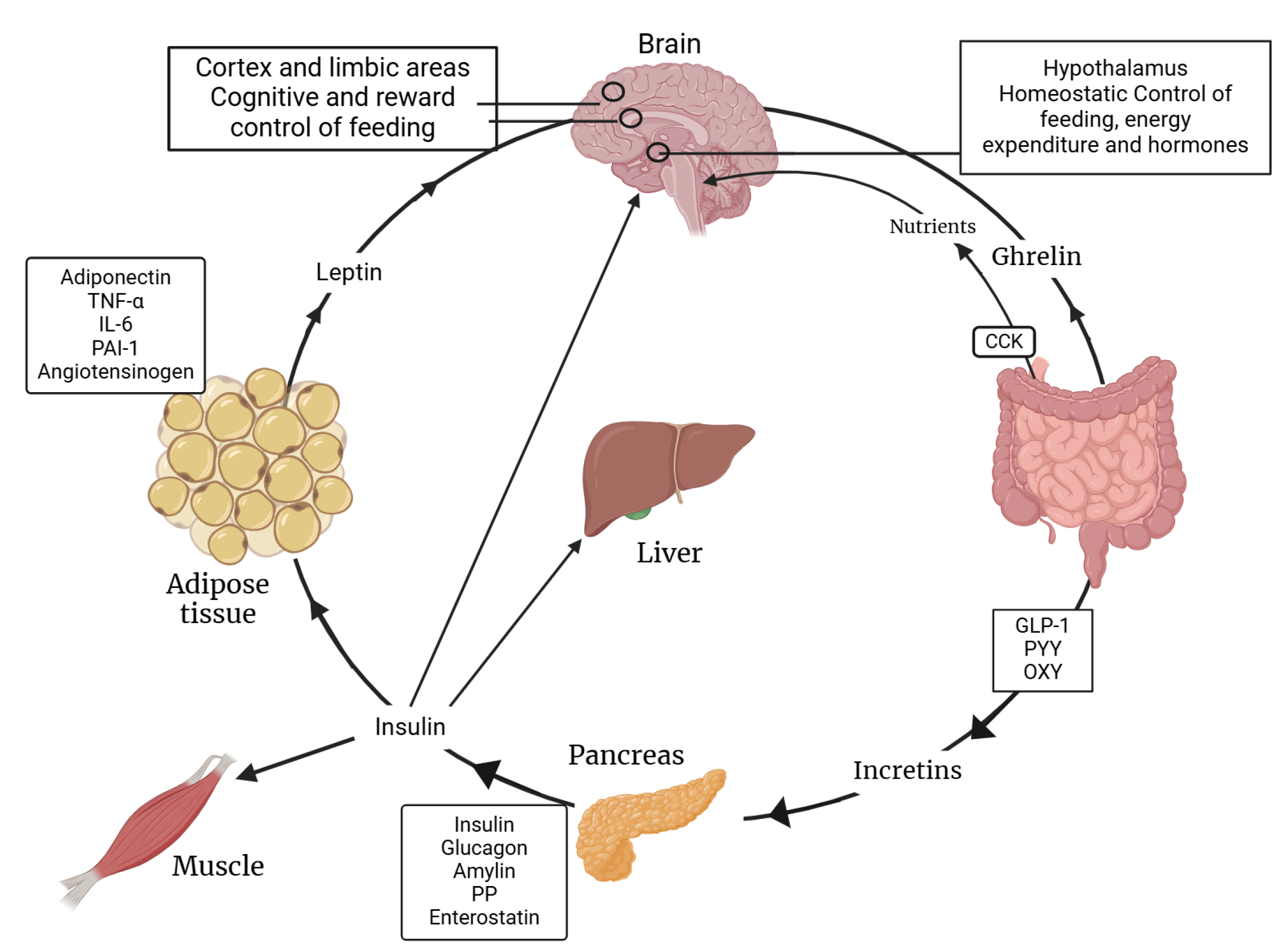 Jcm 14 02611 g002 Jcm 14 02611 g002