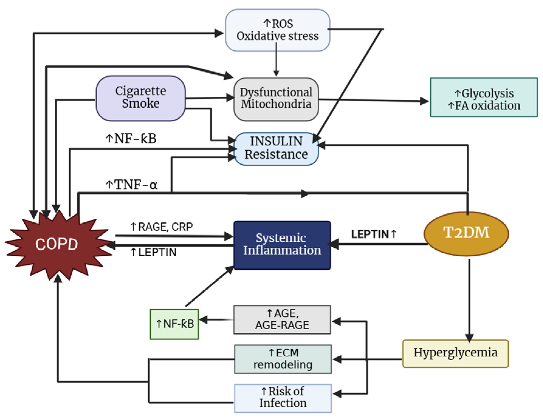 Jcm 14 02611 g004 Jcm 14 02611 g004