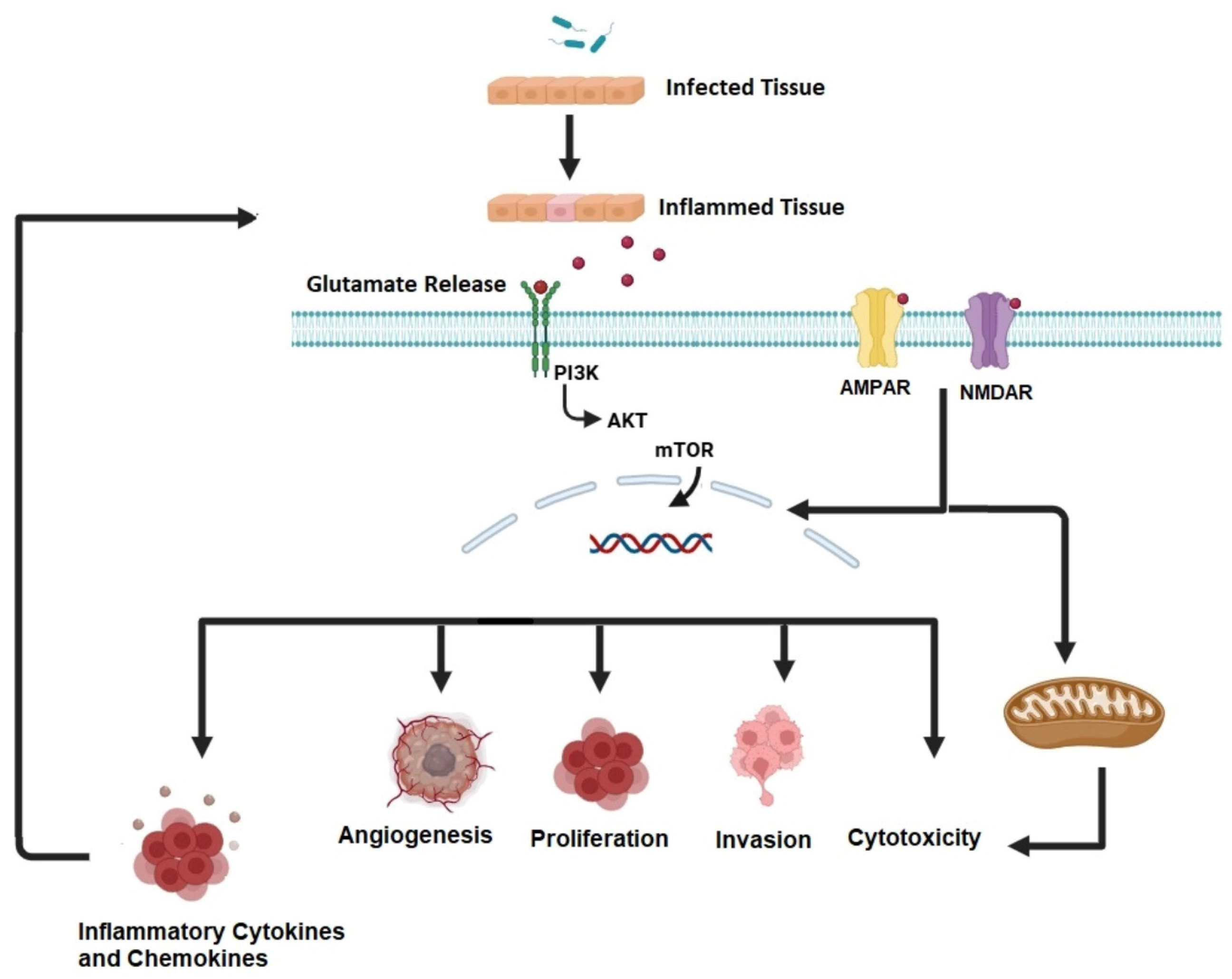Jcm 14 02673 g001 Jcm 14 02673 g001