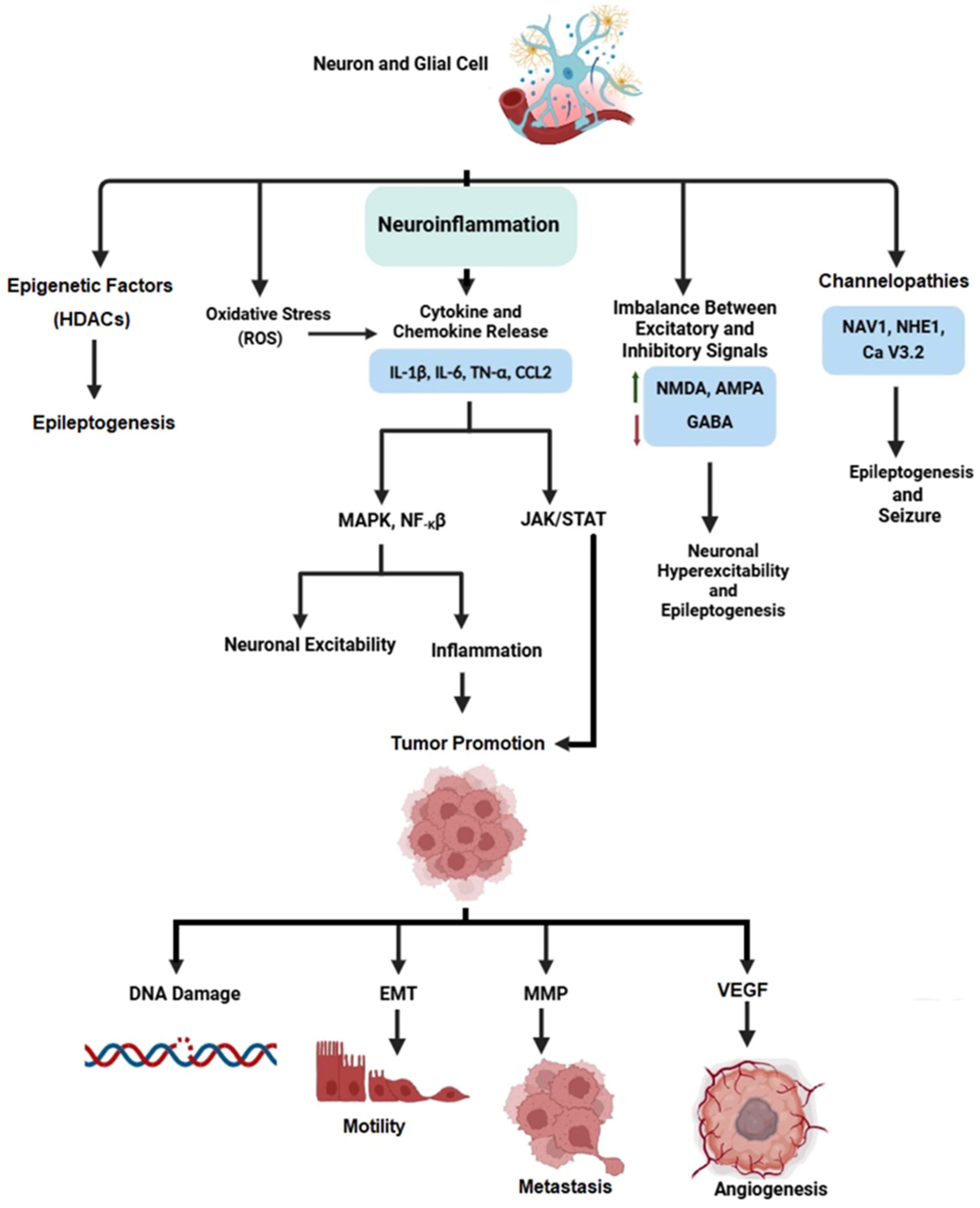 Jcm 14 02673 g002 Jcm 14 02673 g002