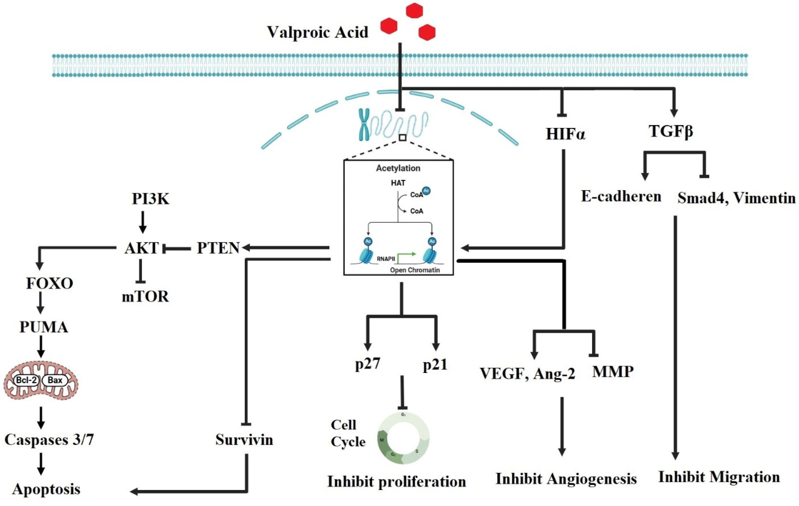 Jcm 14 02673 g003 Jcm 14 02673 g003