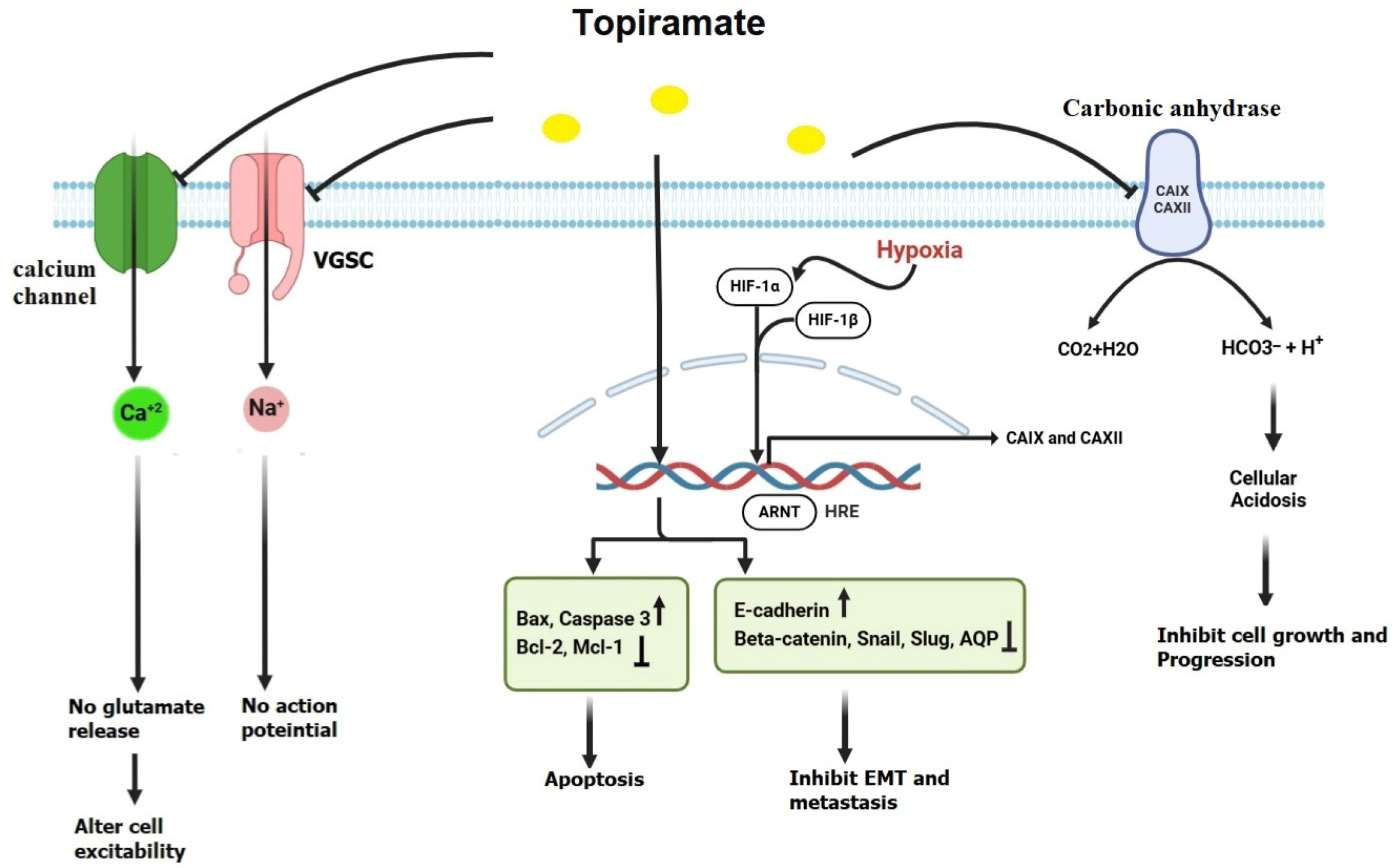 Jcm 14 02673 g004 Jcm 14 02673 g004