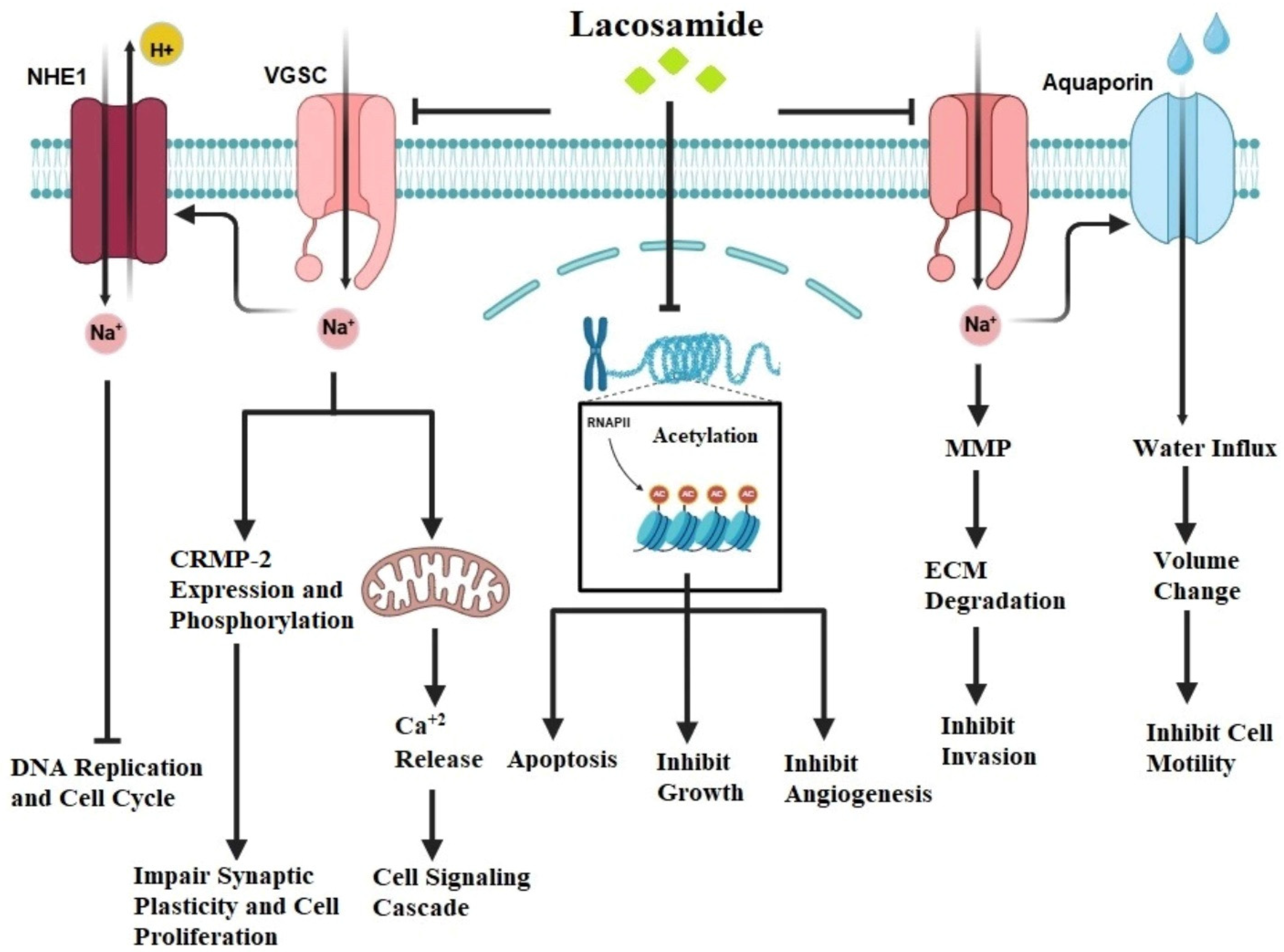 Jcm 14 02673 g005 Jcm 14 02673 g005