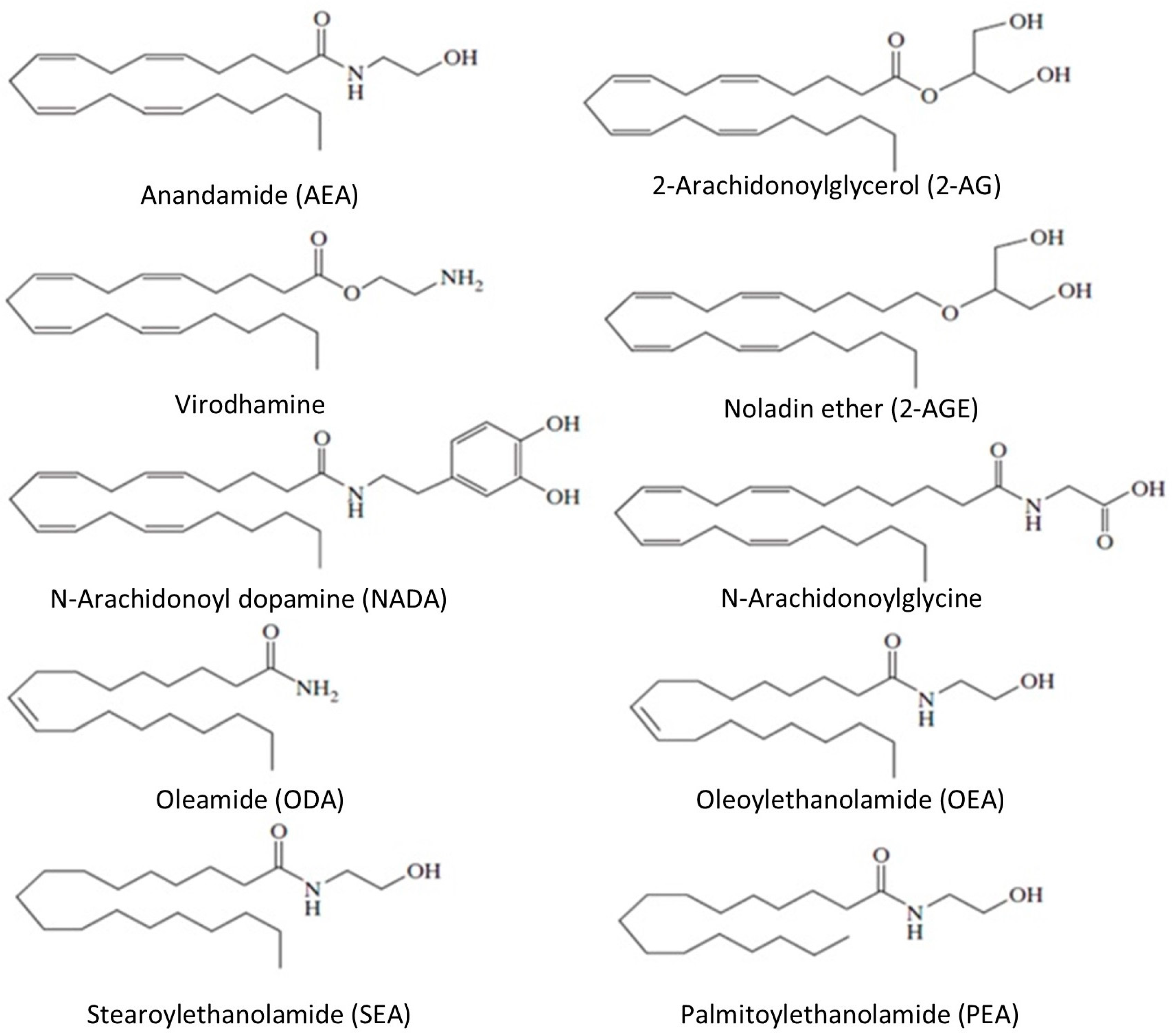 Jcm 14 02851 g001 Jcm 14 02851 g001