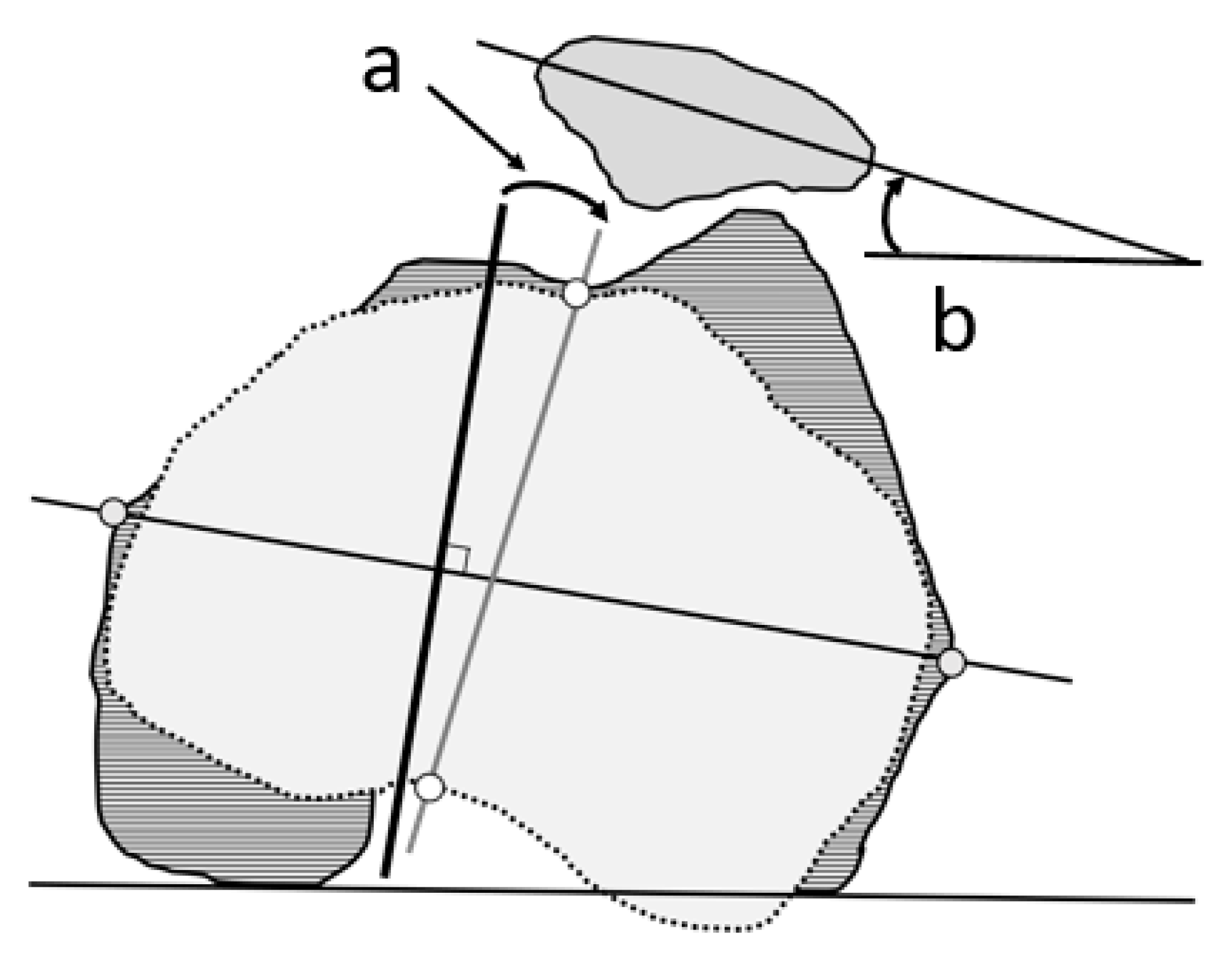Jcm 14 02893 g004 Jcm 14 02893 g004