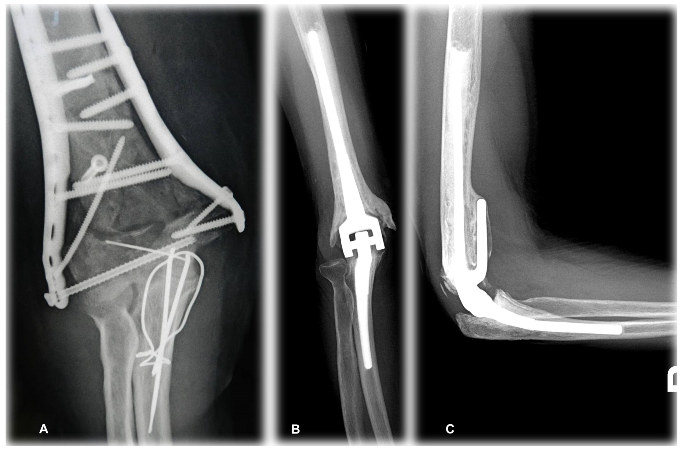 Jcm 14 02901 g010 Jcm 14 02901 g010