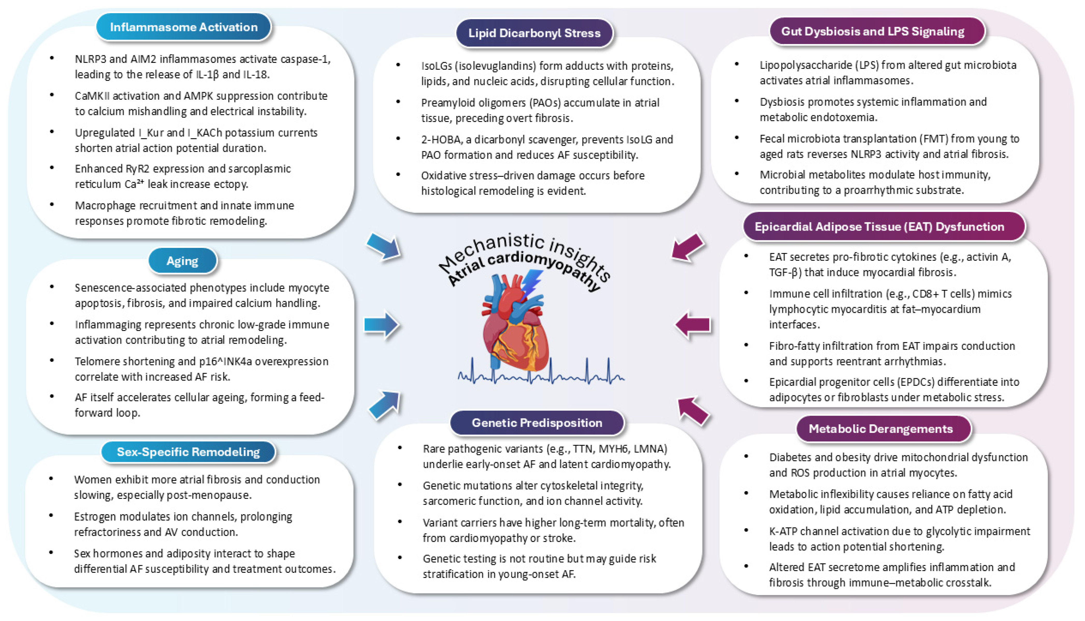 Jcm 14 03250 g001 Jcm 14 03250 g001