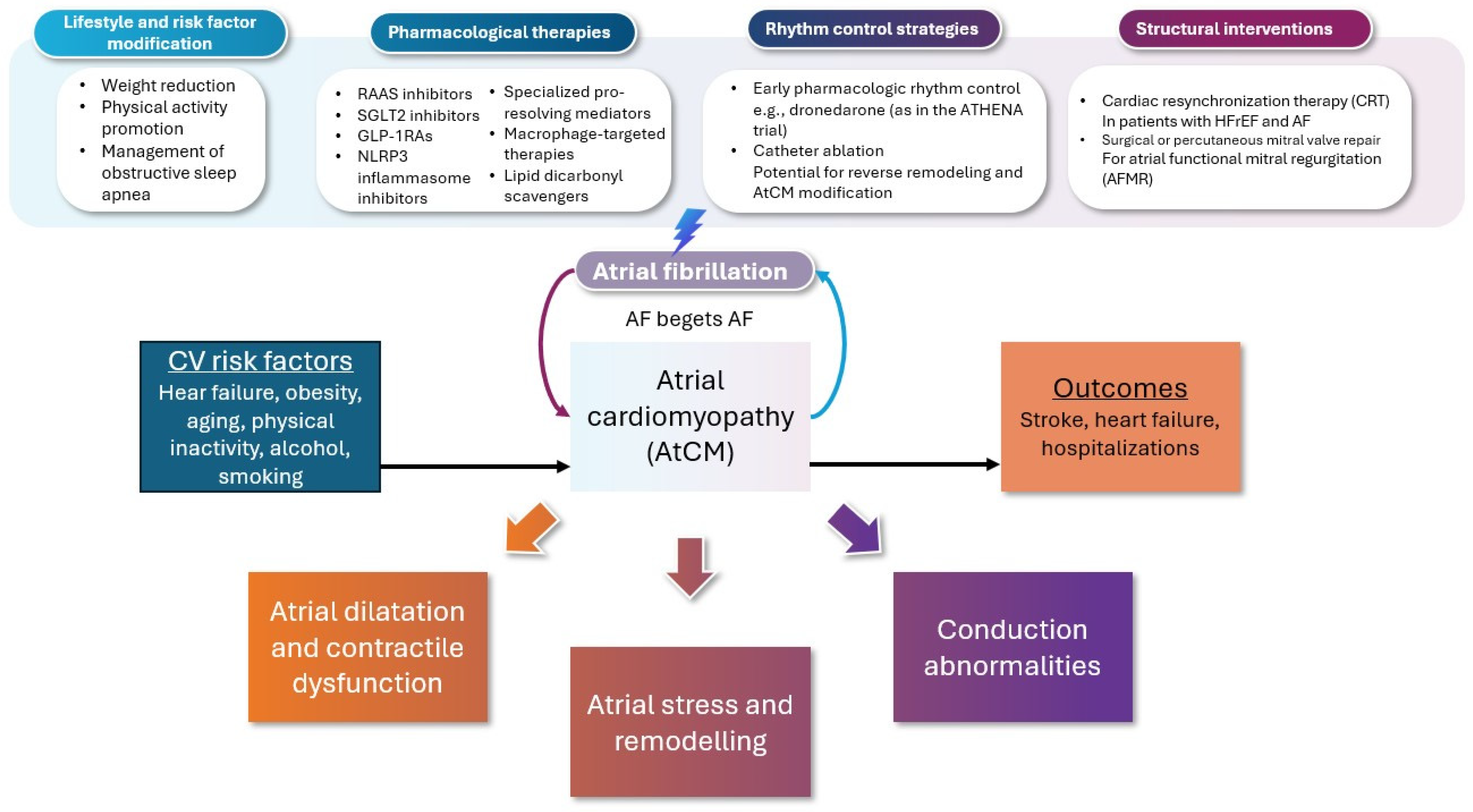 Jcm 14 03250 g002 Jcm 14 03250 g002