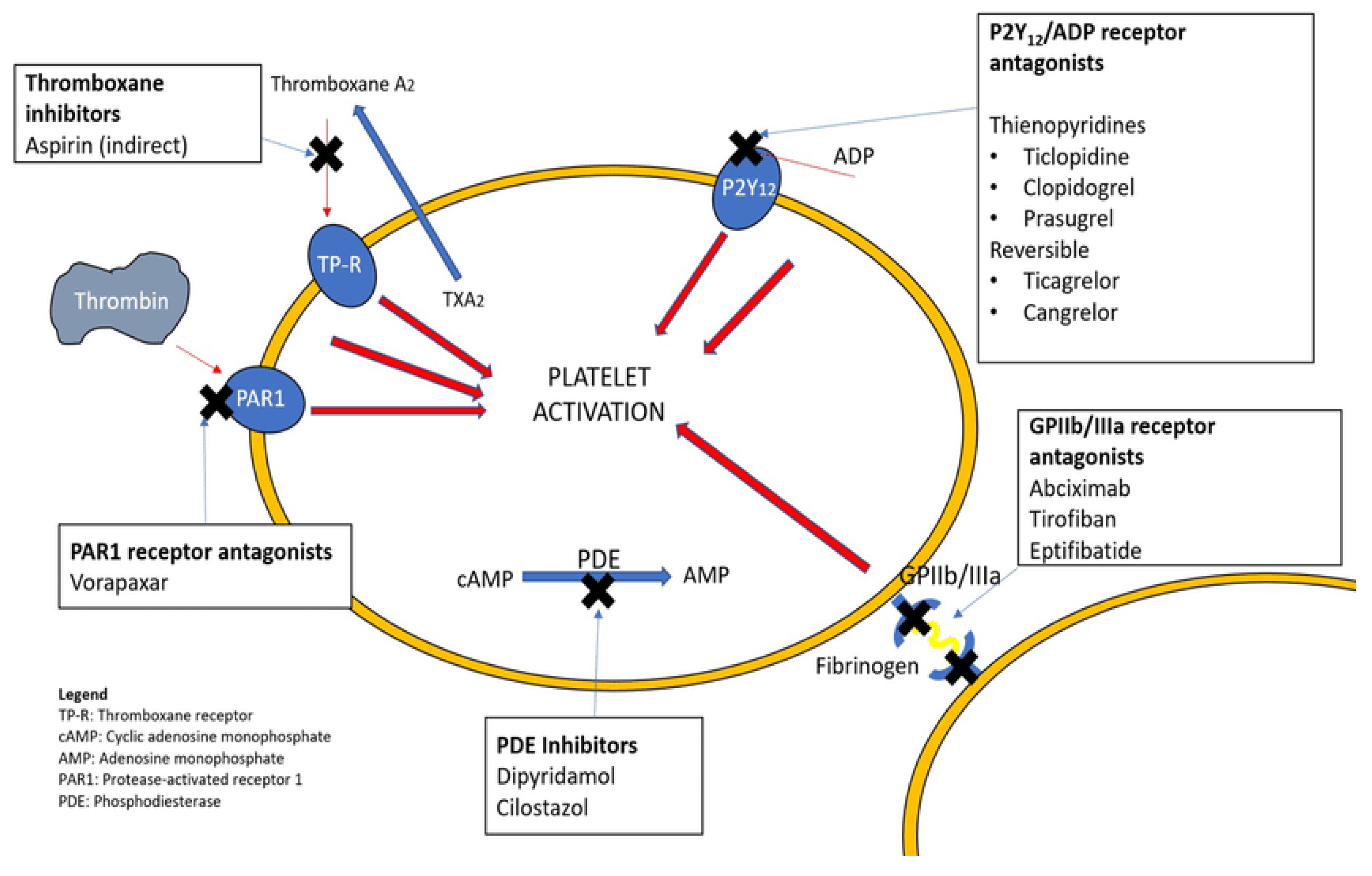 Jcm 14 03391 g001 Jcm 14 03391 g001