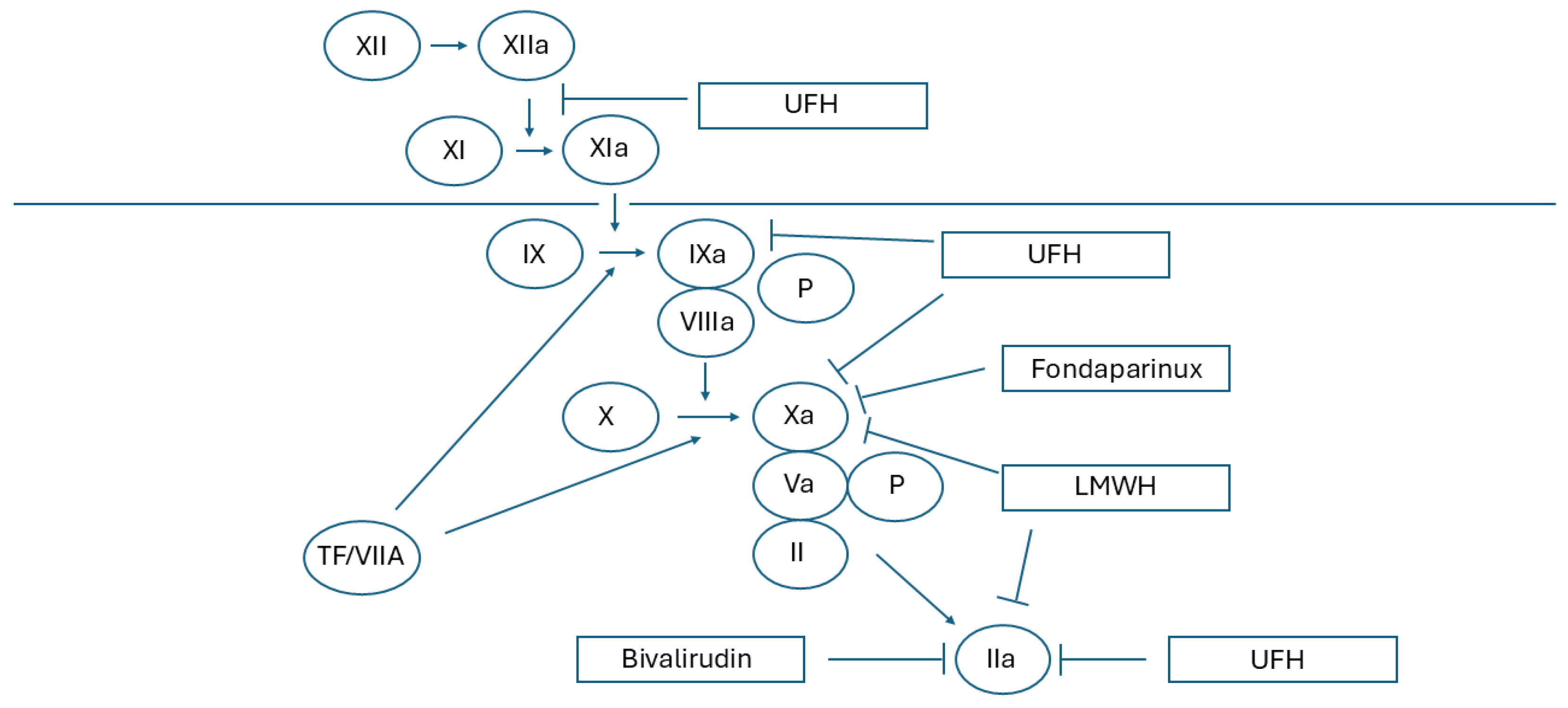 Jcm 14 03391 g003 Jcm 14 03391 g003