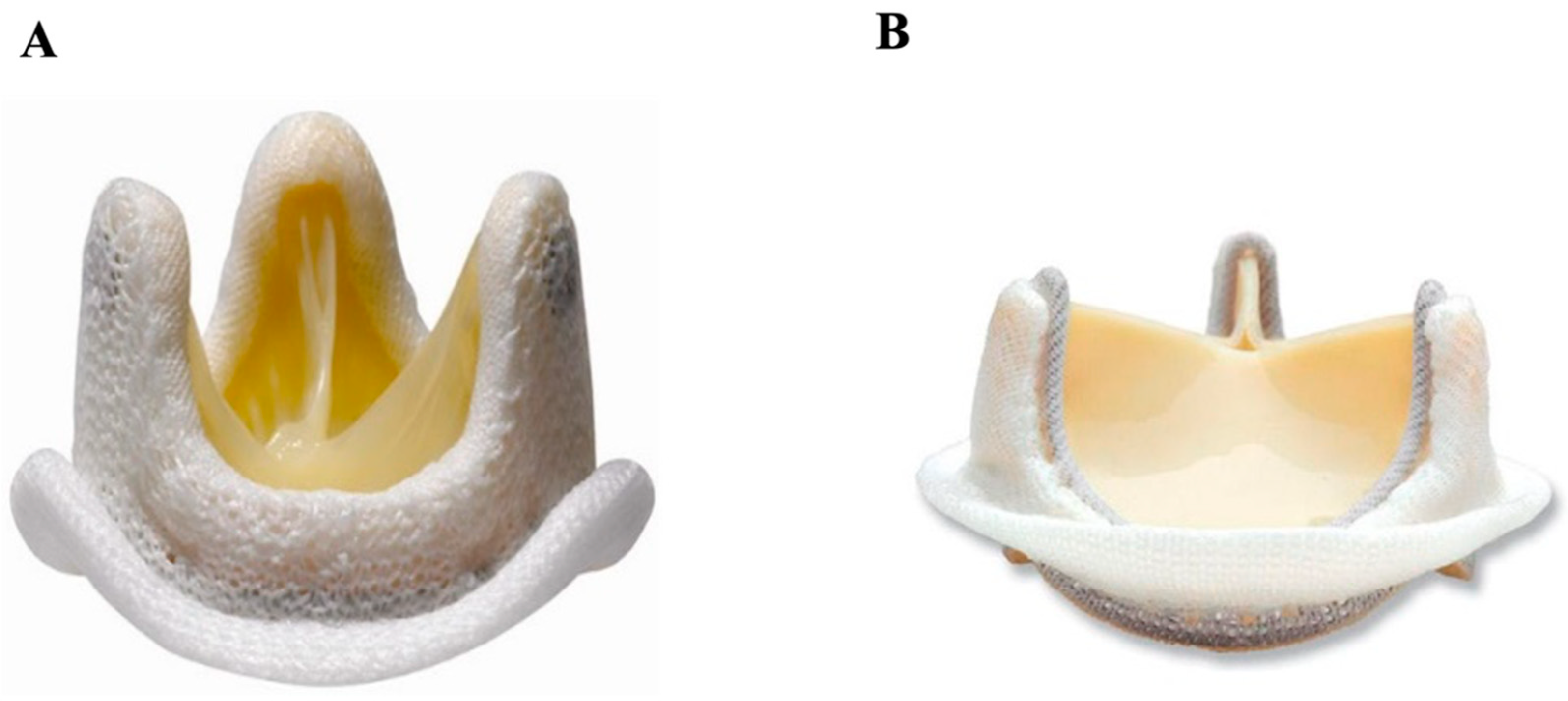 Jcm 14 03499 g003 Jcm 14 03499 g003