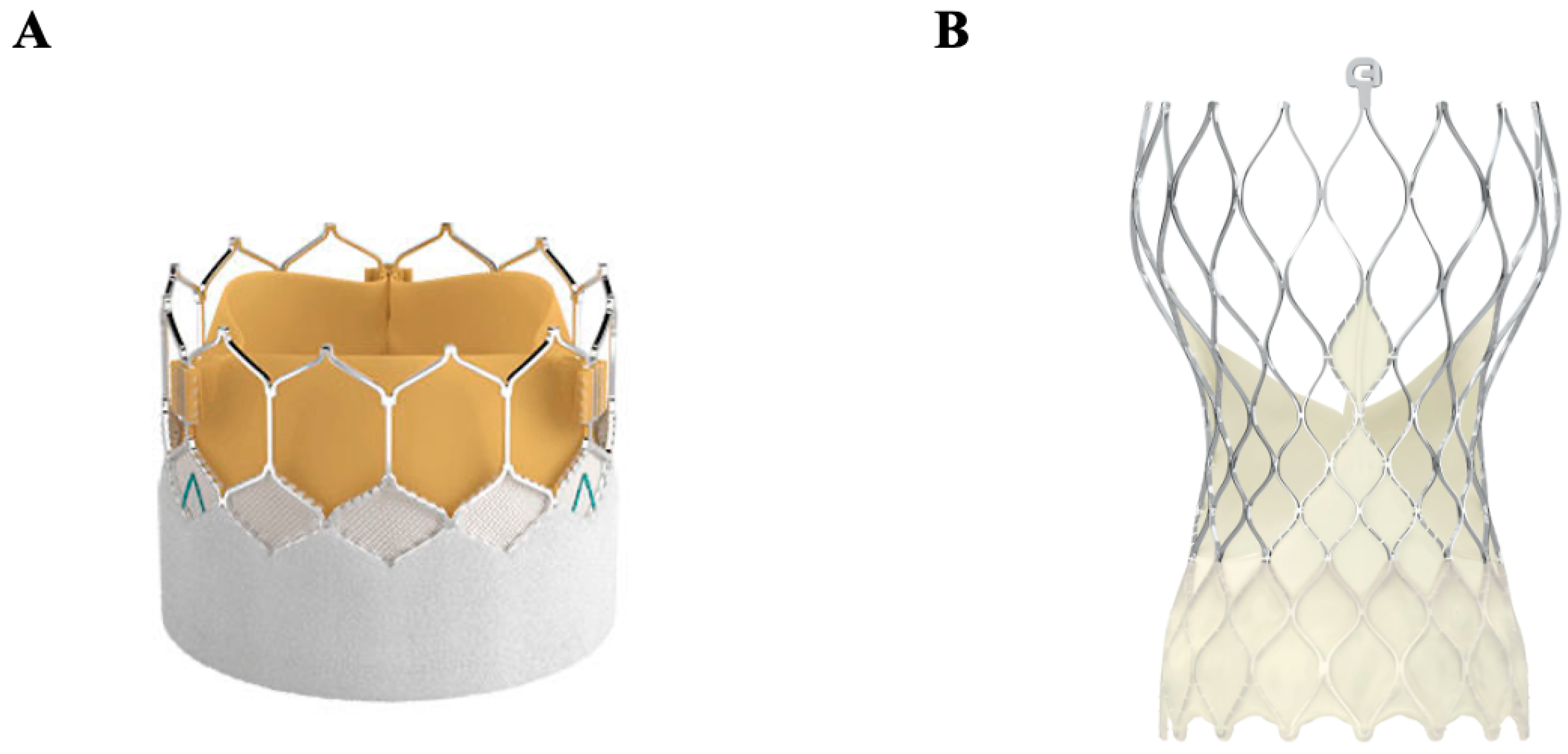 Jcm 14 03499 g007 Jcm 14 03499 g007