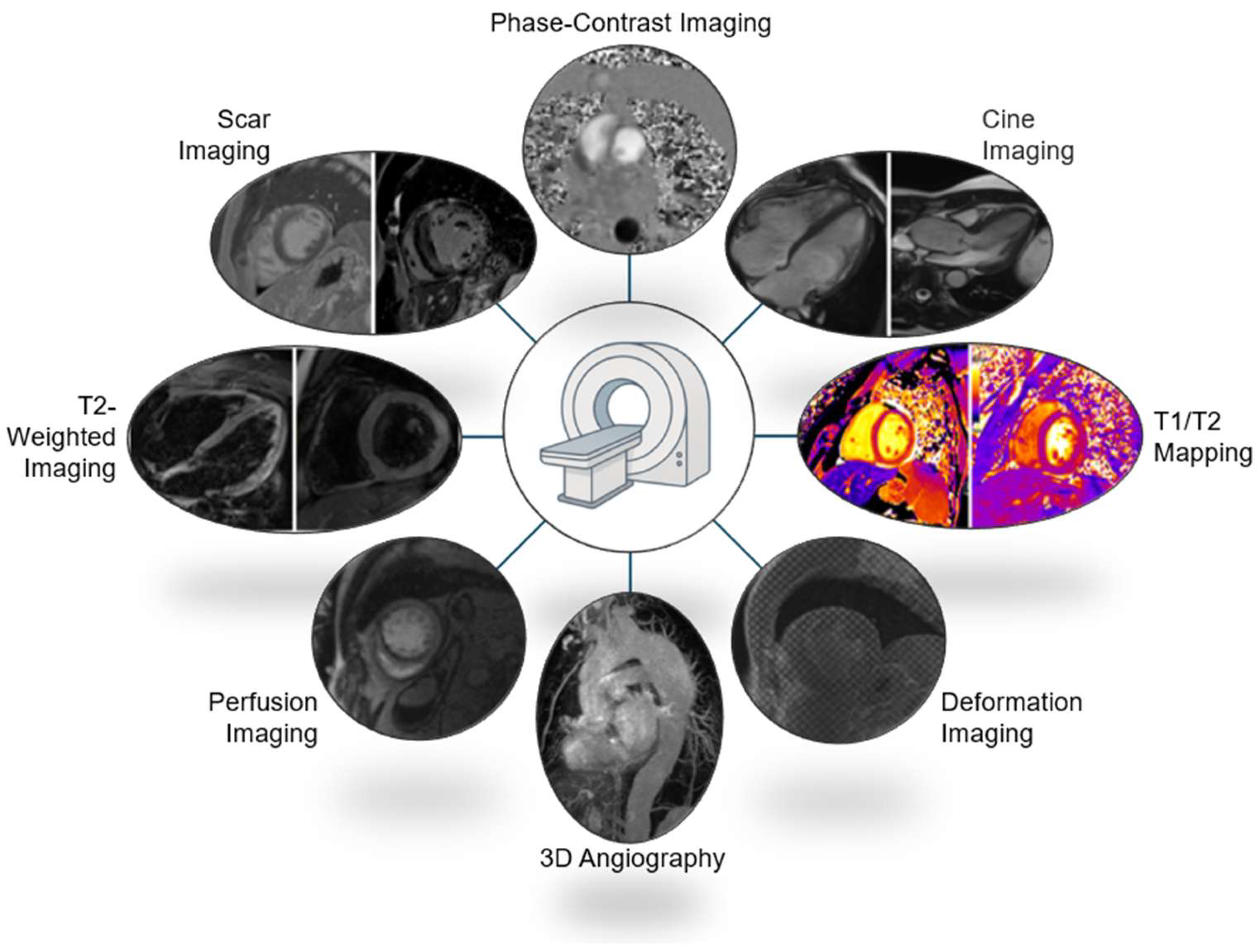 Jcm 14 03576 g001 Jcm 14 03576 g001