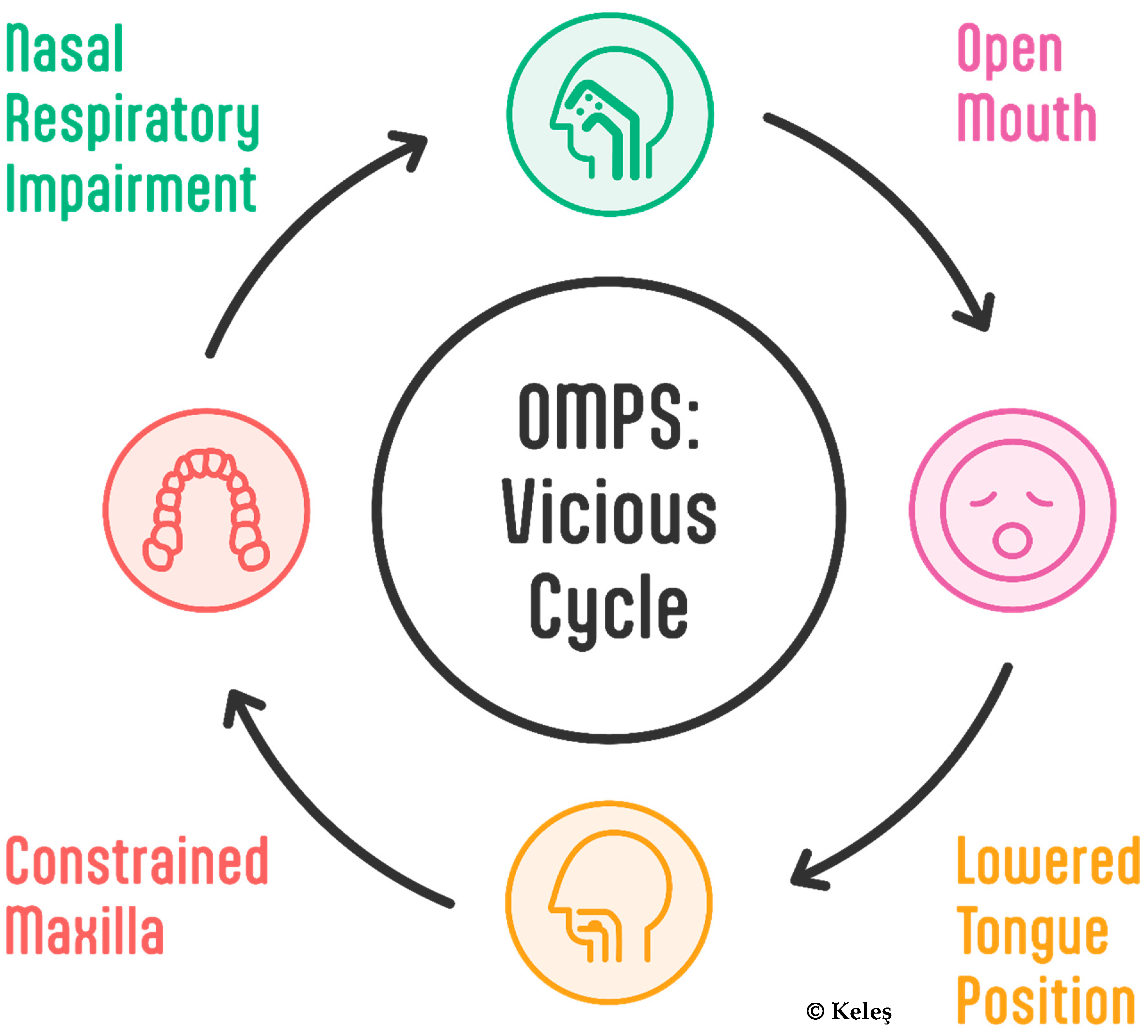 Jcm 14 03586 g001 Jcm 14 03586 g001