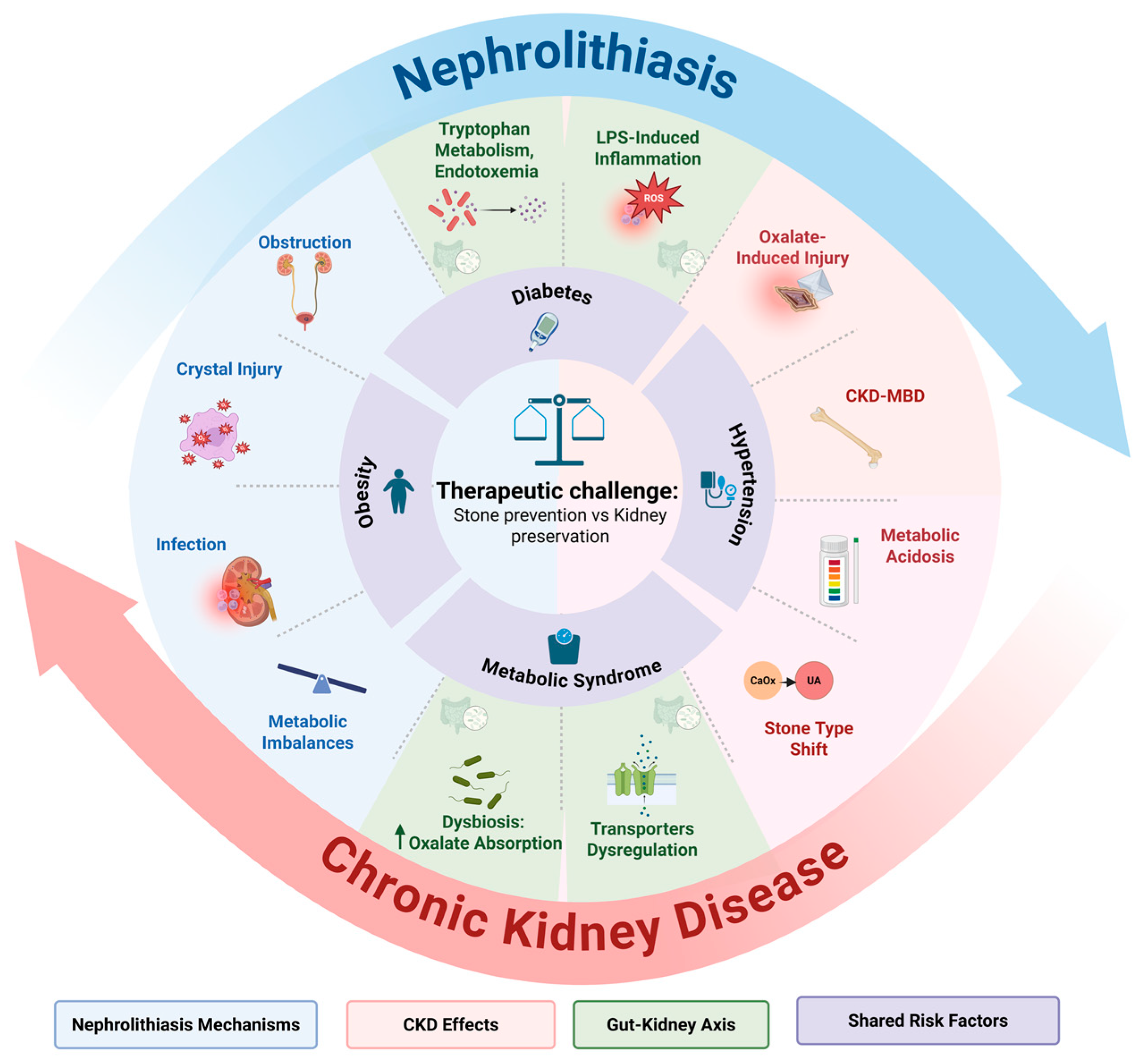 Jcm 14 03678 g001 Jcm 14 03678 g001