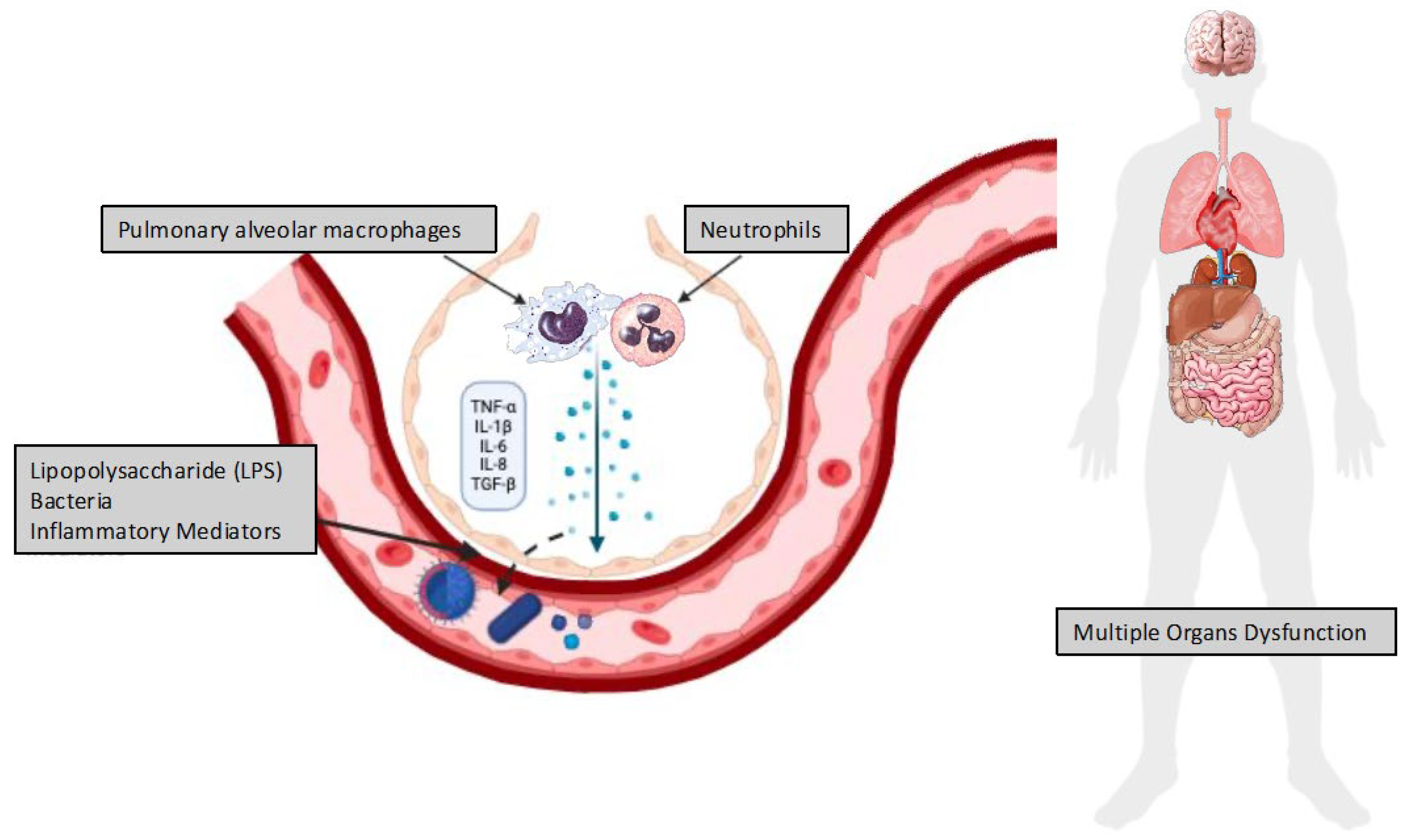 Jcm 14 03910 g002 Jcm 14 03910 g002