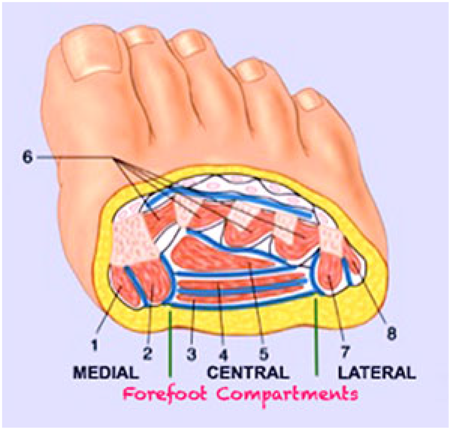 Jcm 14 03918 g001 Jcm 14 03918 g001