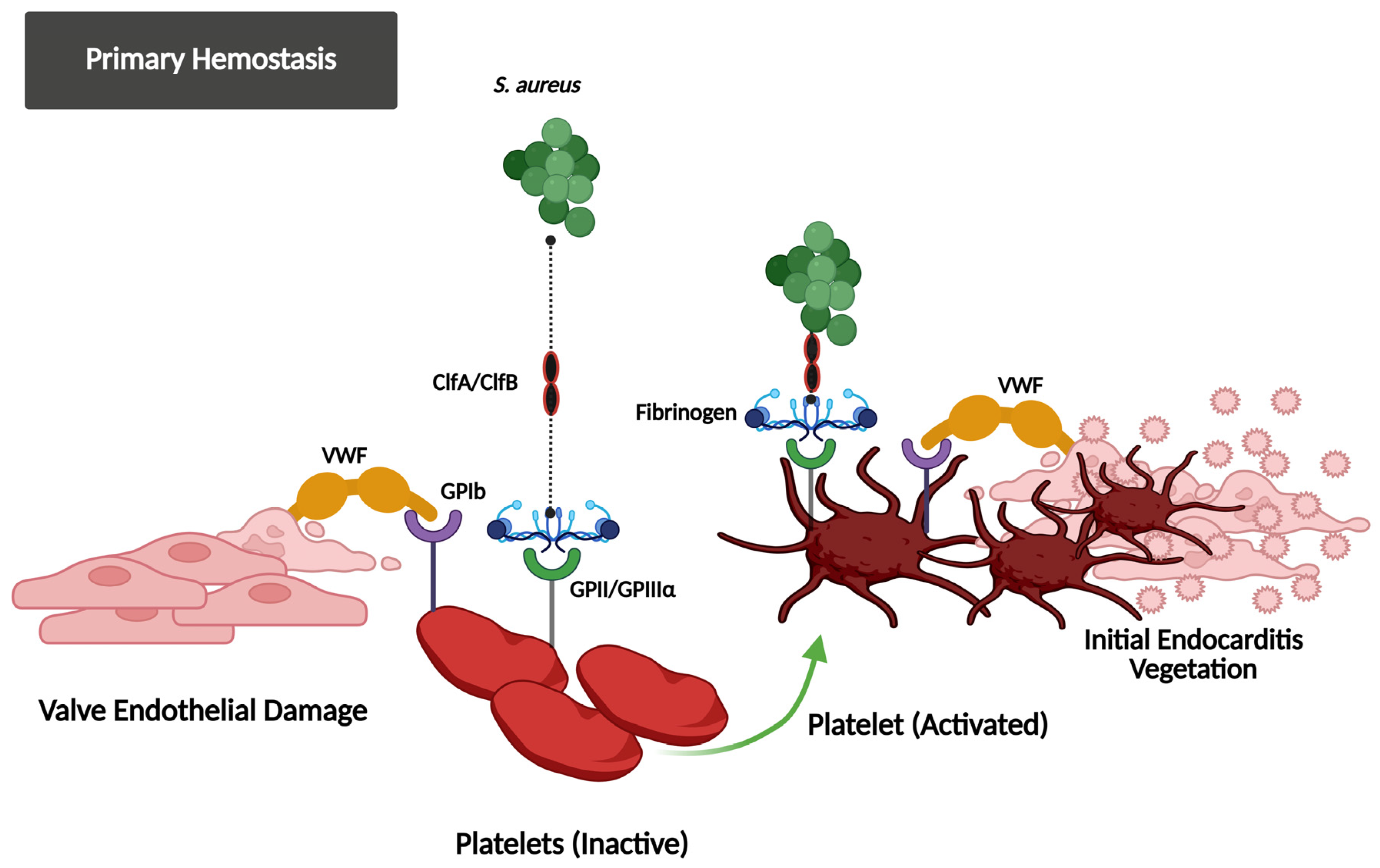 Jcm 14 03965 g001 Jcm 14 03965 g001