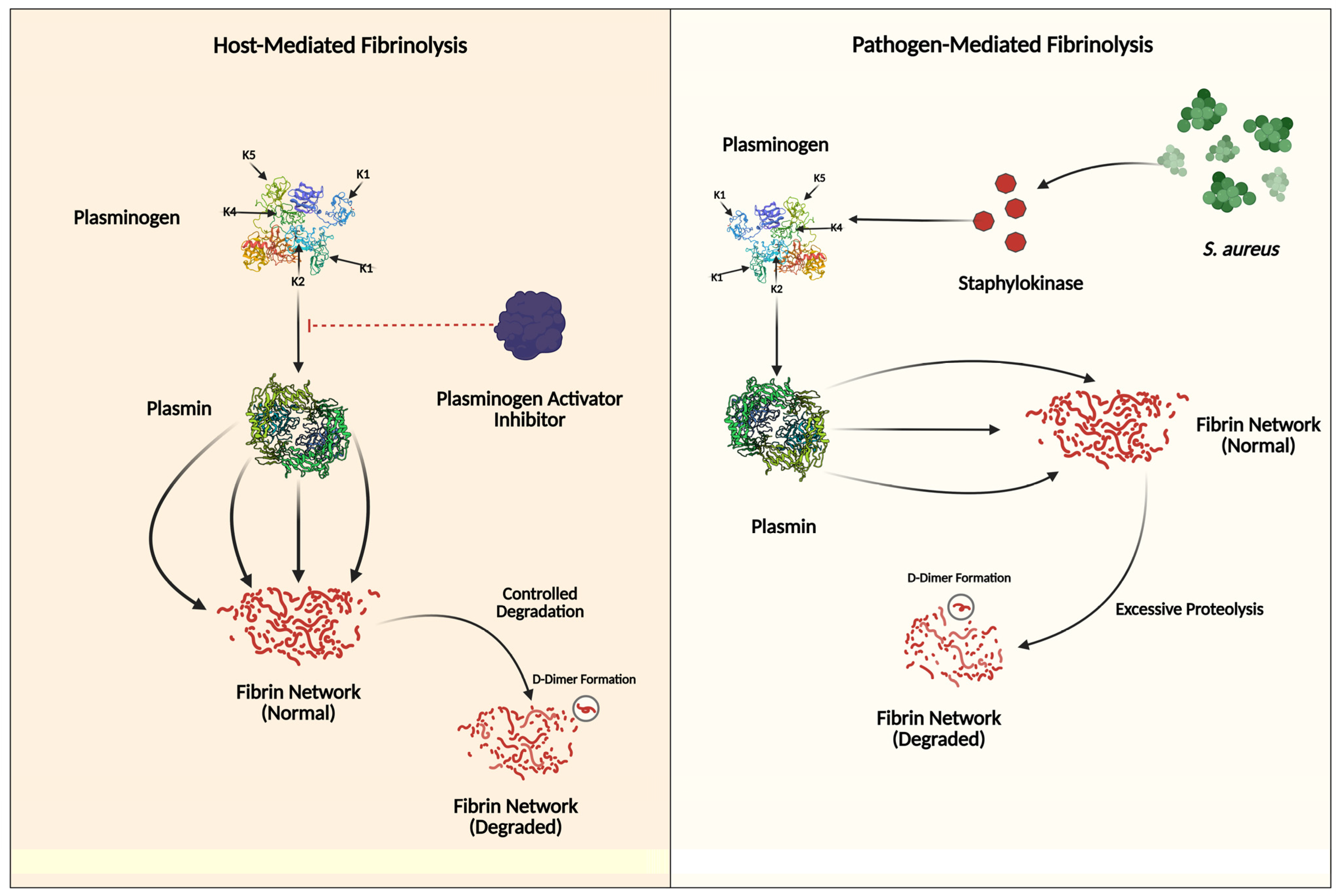 Jcm 14 03965 g003 Jcm 14 03965 g003