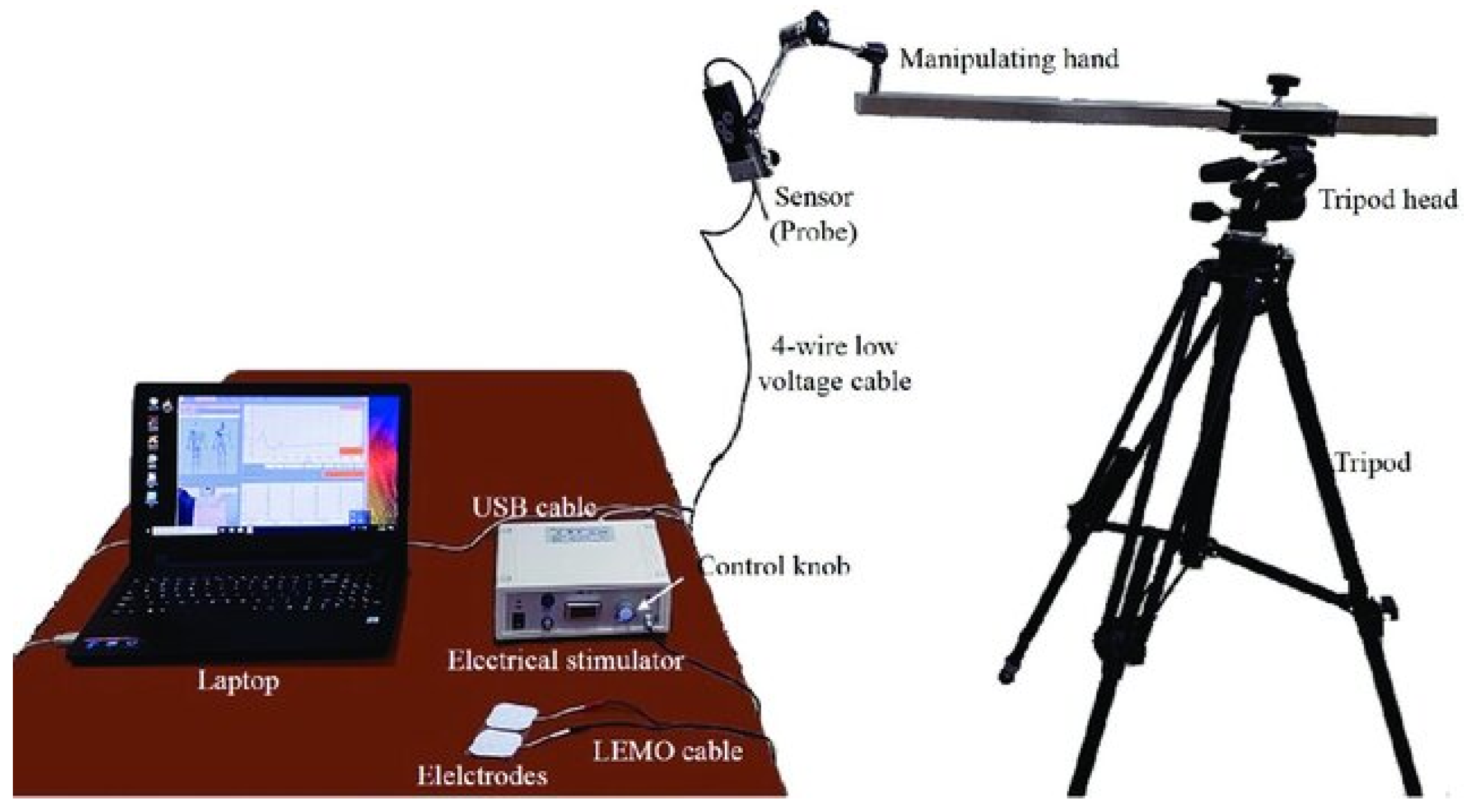 Jcm 14 04212 g003 Jcm 14 04212 g003
