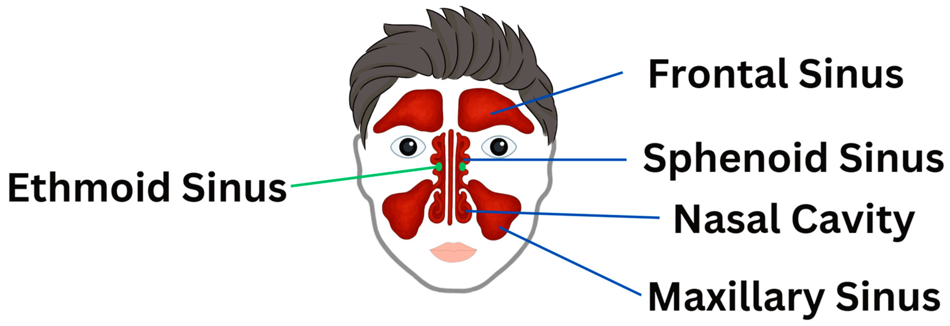 Jcm 14 04494 g002 Jcm 14 04494 g002